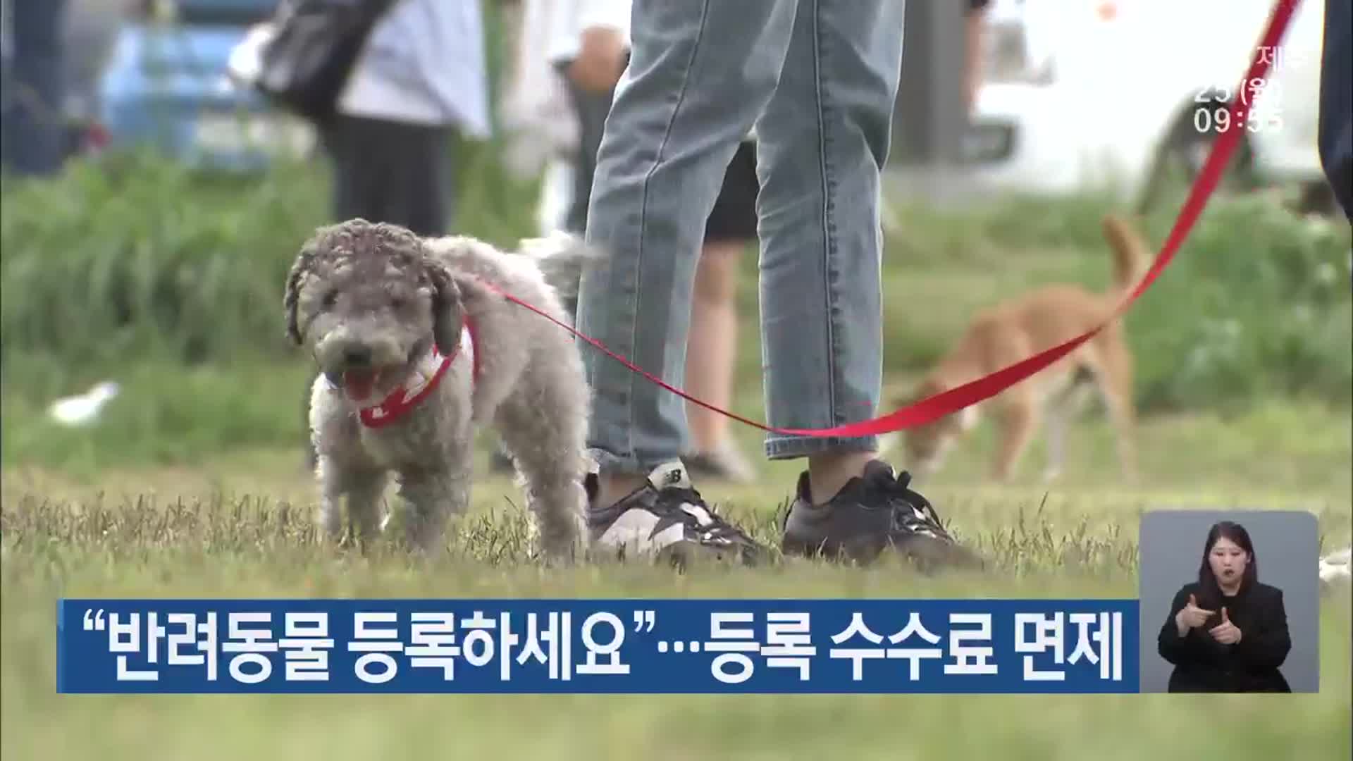 “반려동물 등록하세요”…등록 수수료 면제