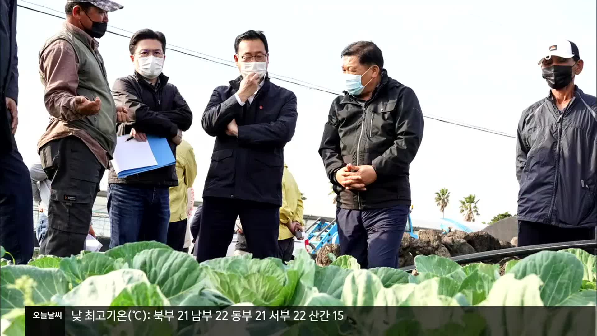 제주 전역서 ‘초기 가뭄’ 관측…농가 비상
