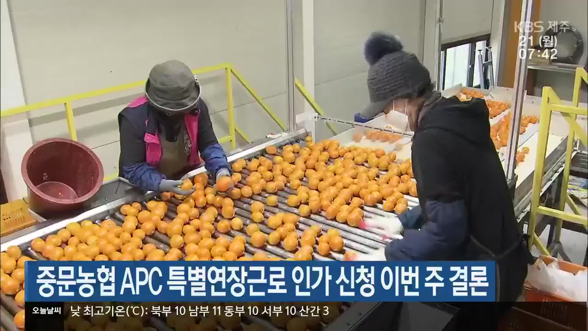 중문농협 APC 특별연장근로 인가 신청 이번 주 결론