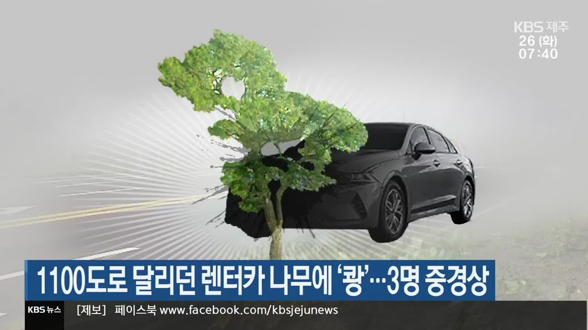 1100도로 달리던 렌터카 나무에 ‘쾅’…3명 중경상