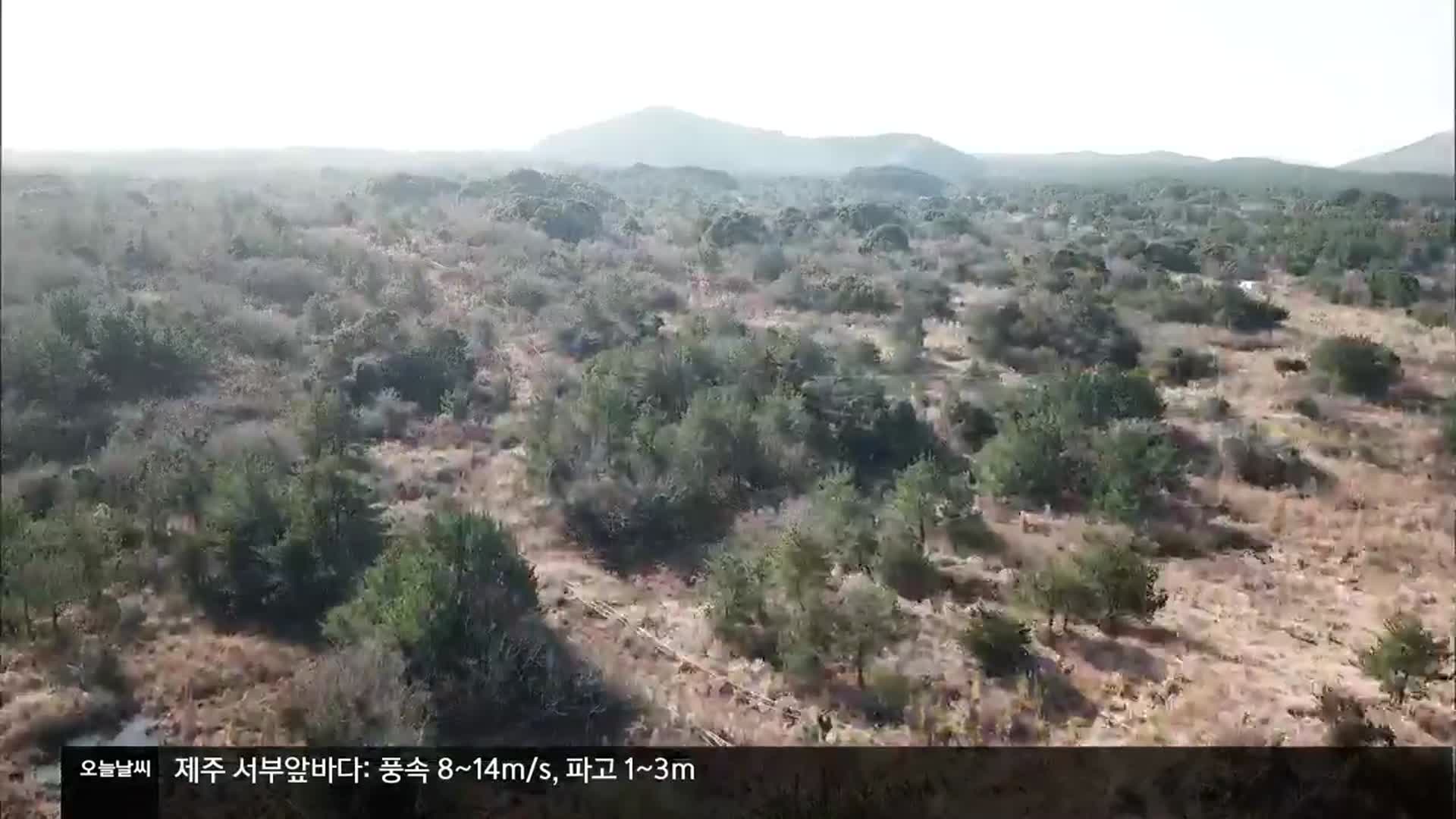 “국가위성통합운영센터 논란 여전…제주도의회 거부해야”