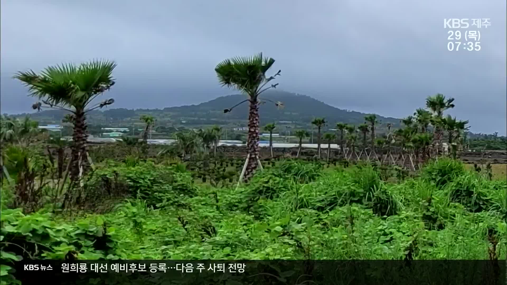 ‘가짜 농부’ 대거 적발…2공항 부지도 포함