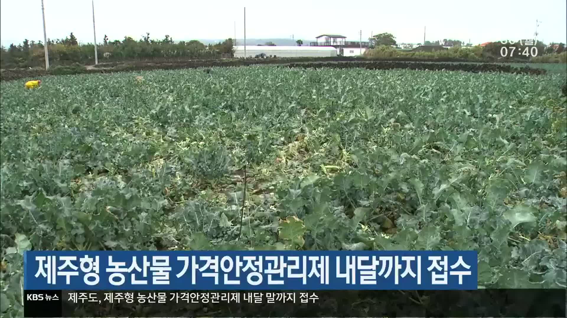 제주형 농산물 가격안정관리제 내달까지 접수