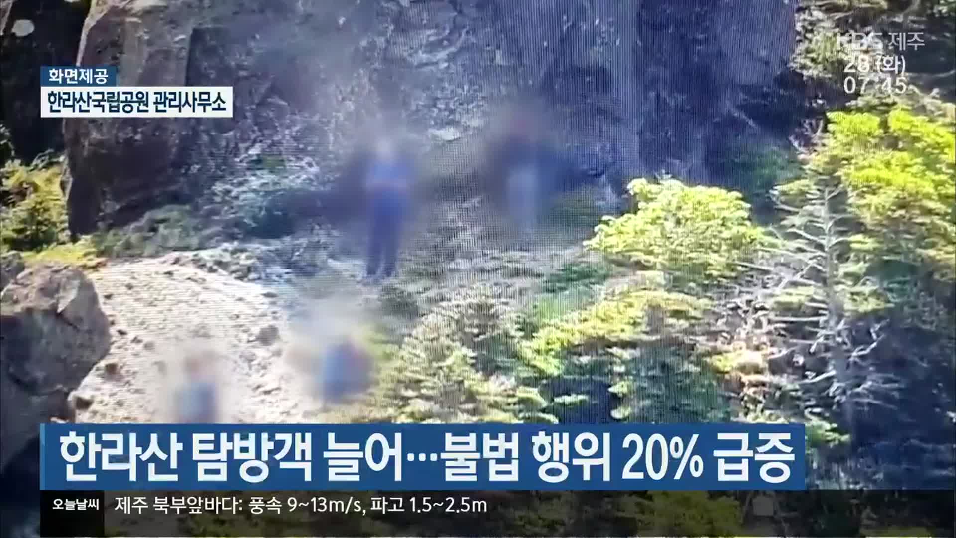 한라산 탐방객 늘어…불법 행위 20% 급증