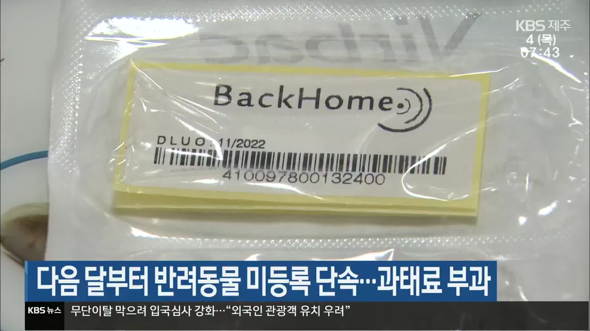 다음 달부터 반려동물 미등록 단속…과태료 부과