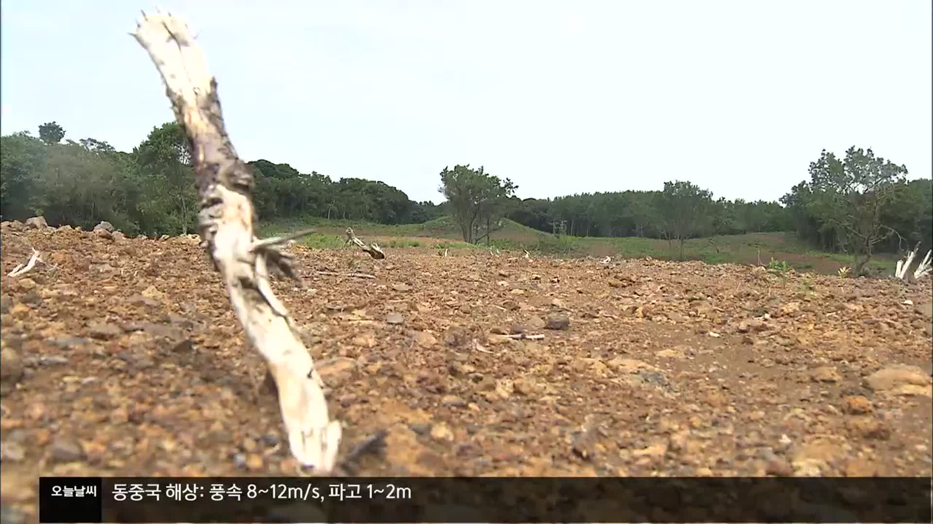 “땅값 차익 노렸다”…세계유산 인접 보존지역 훼손