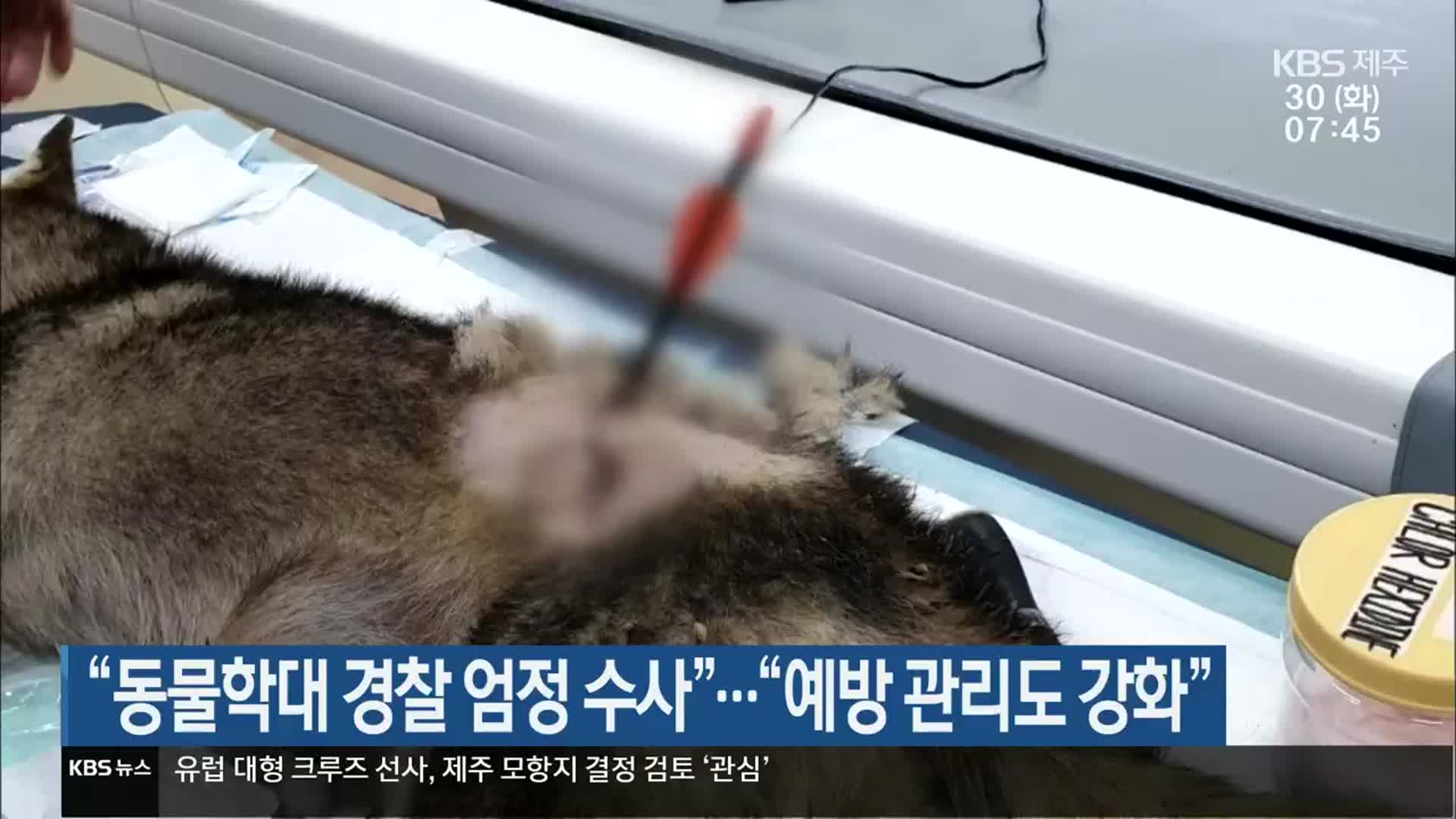 “동물학대 경찰 엄정 수사”…“예방 관리도 강화”