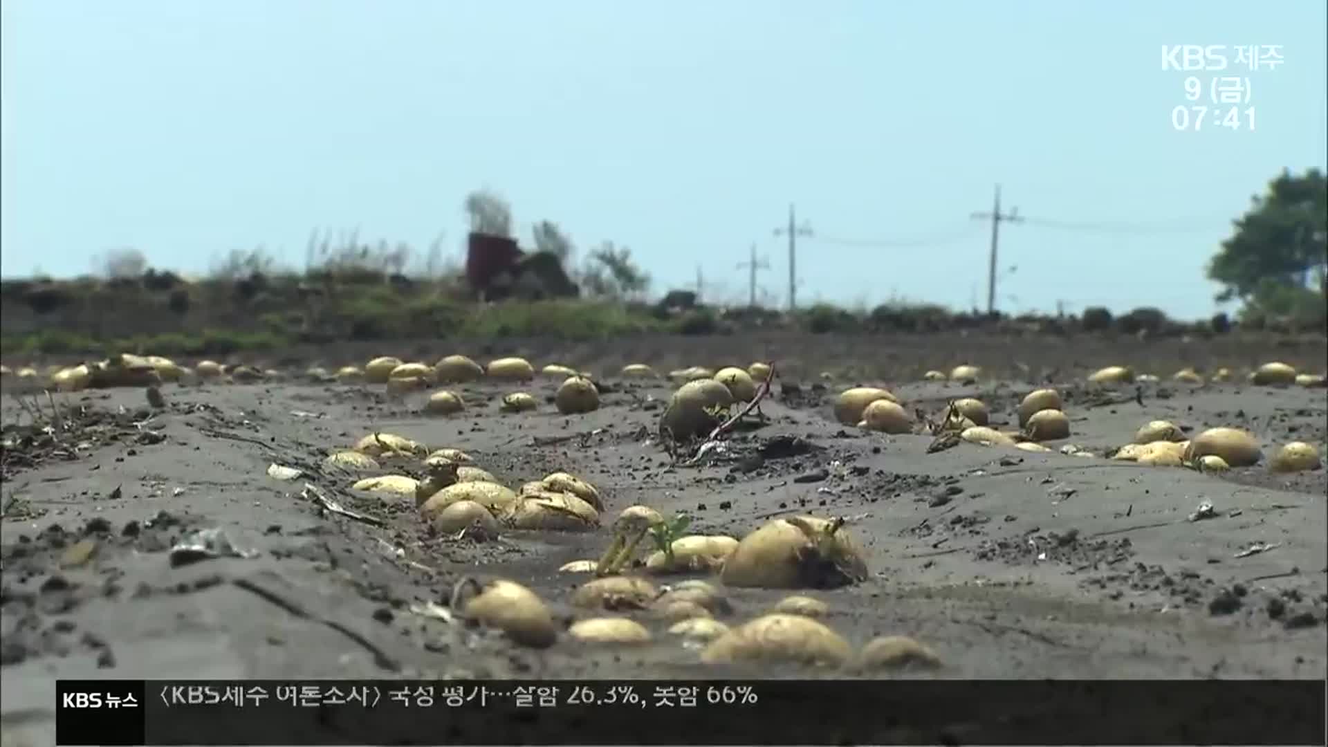 “피해 복구도 못했는데”…추석연휴 뒤 또 태풍?