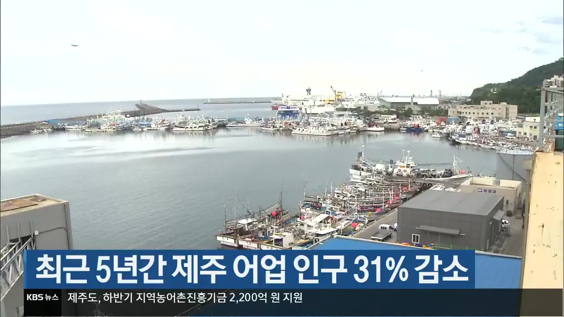 최근 5년간 제주 어업 인구 31% 감소