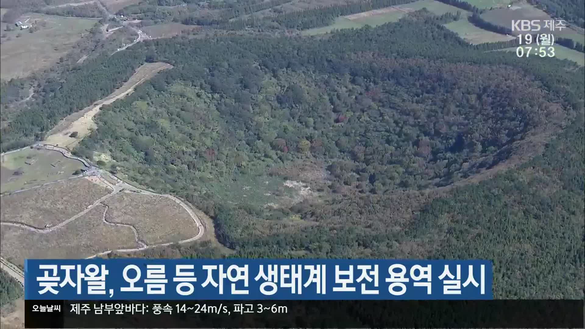 곶자왈, 오름 등 자연 생태계 보전 용역 실시