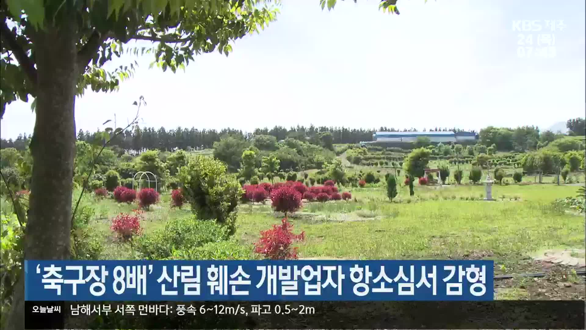 ‘축구장 8배’ 산림 훼손 개발업자 항소심서 감형