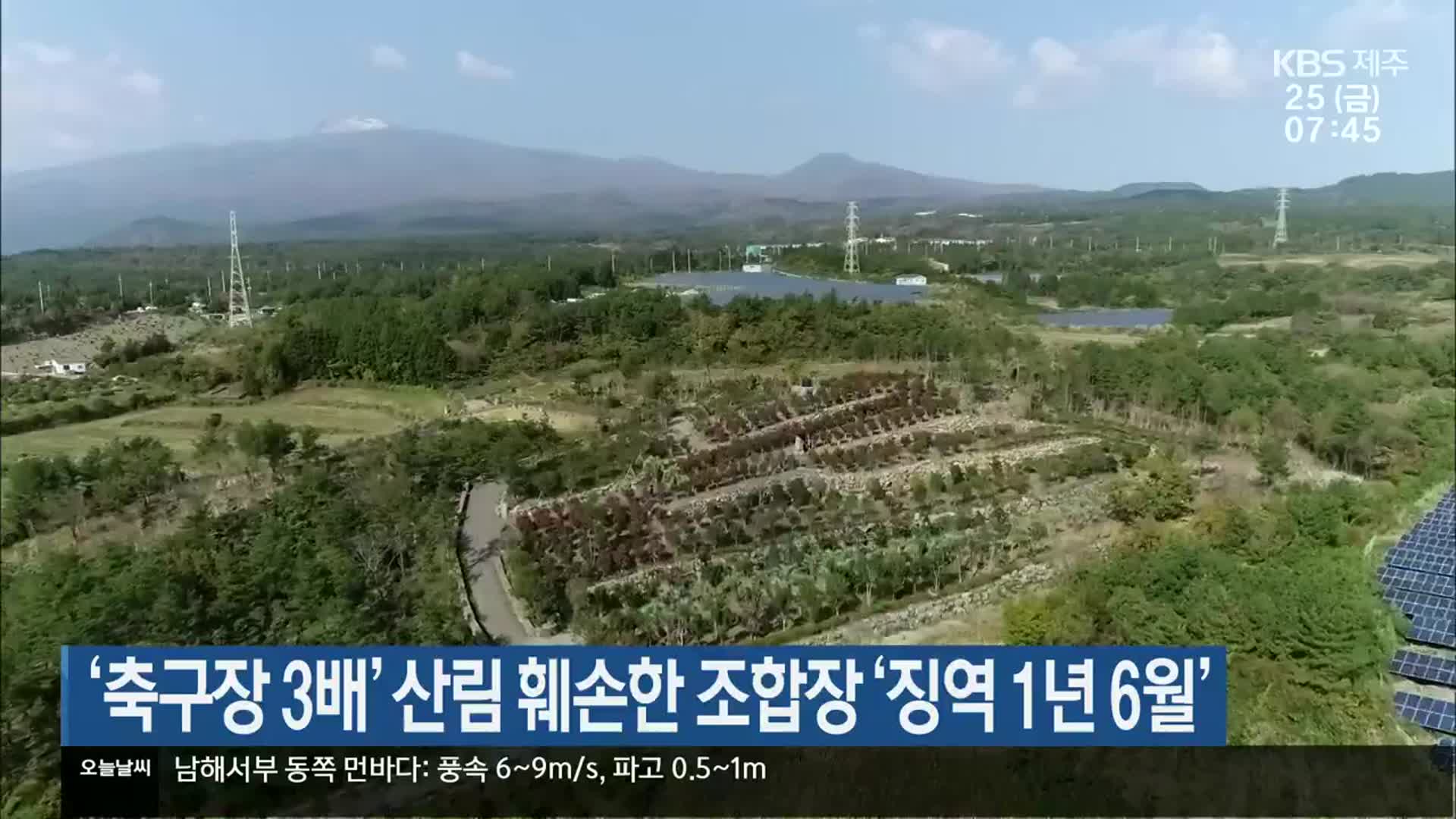 ‘축구장 3배’ 산림 훼손한 조합장 ‘징역 1년 6월’