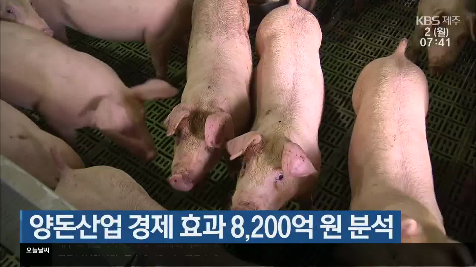 양돈산업 경제 효과 8,200억 원 분석