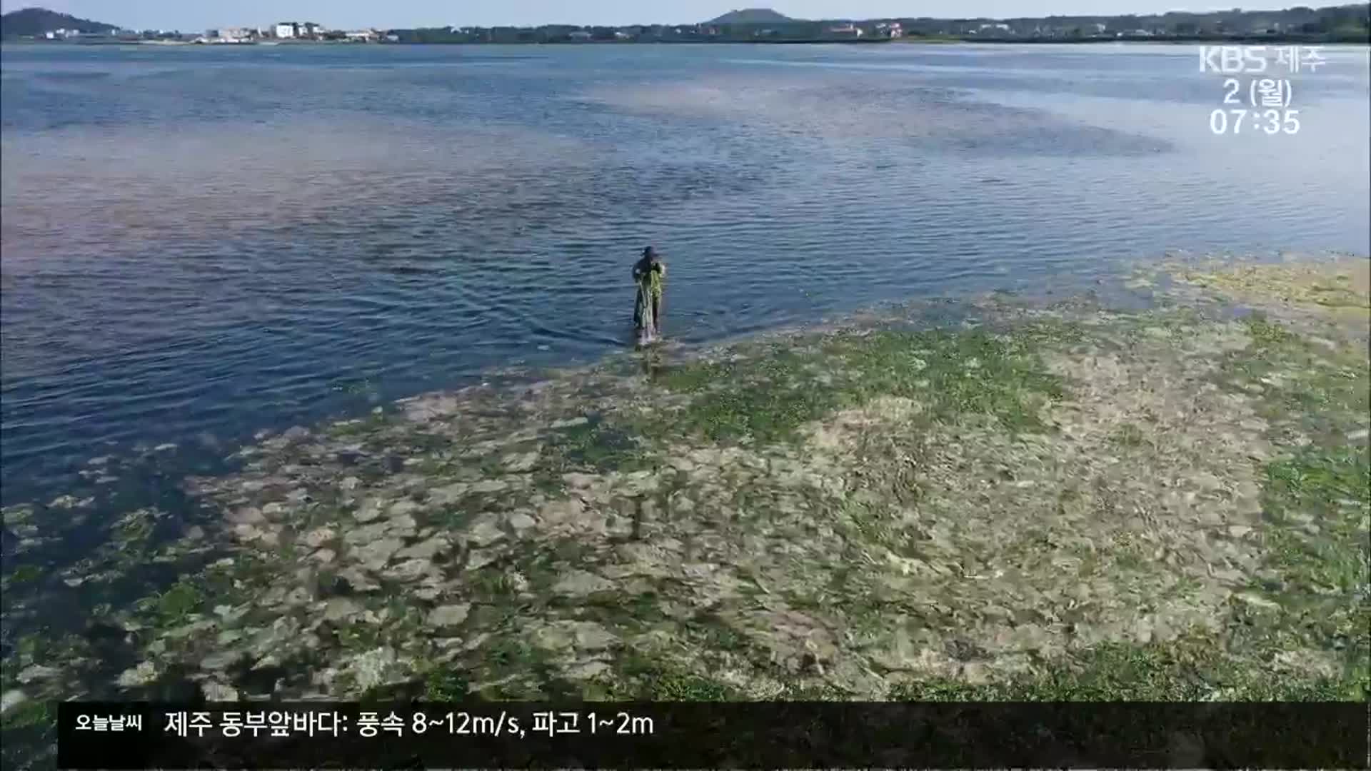 기후위기 직면한 제주 바다