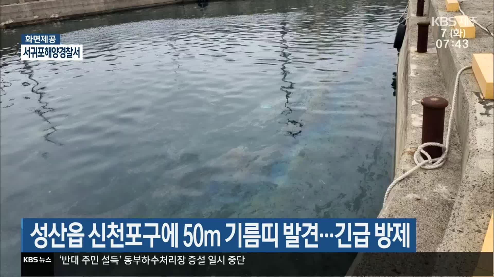 성산읍 신천포구에 50m 기름띠 발견…긴급 방제 