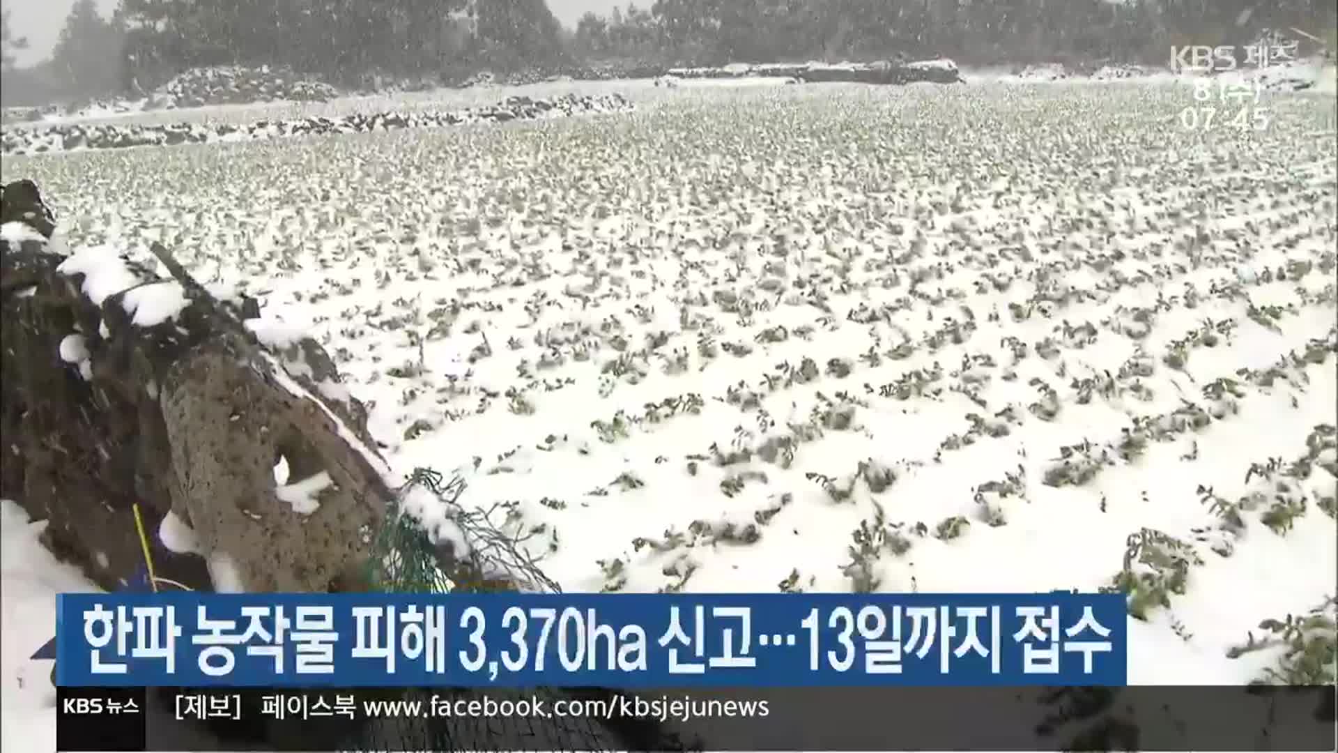 한파 농작물 피해 3,370ha 신고…13일까지 접수