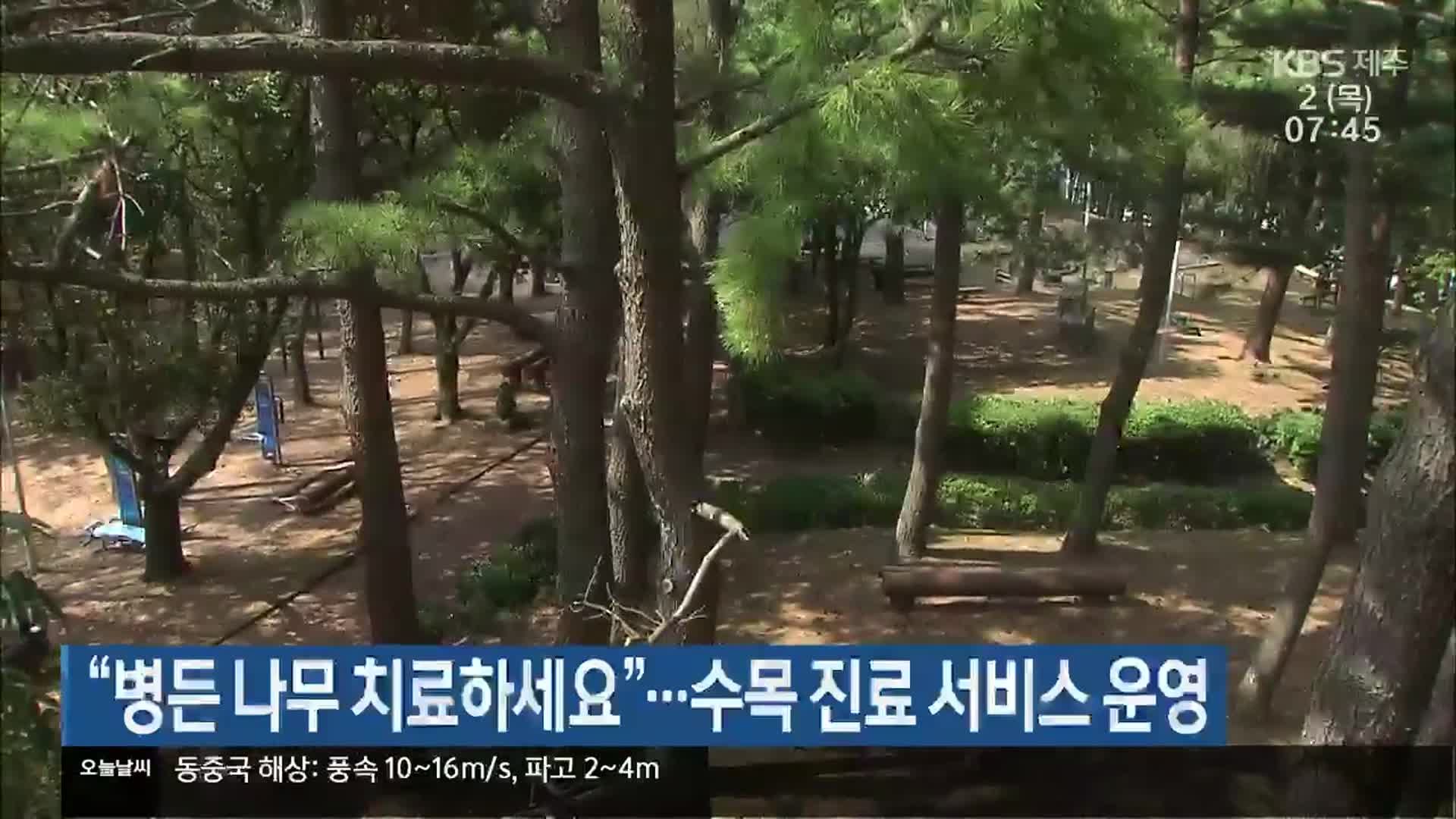 “병든 나무 치료하세요”…수목 진료 서비스 운영