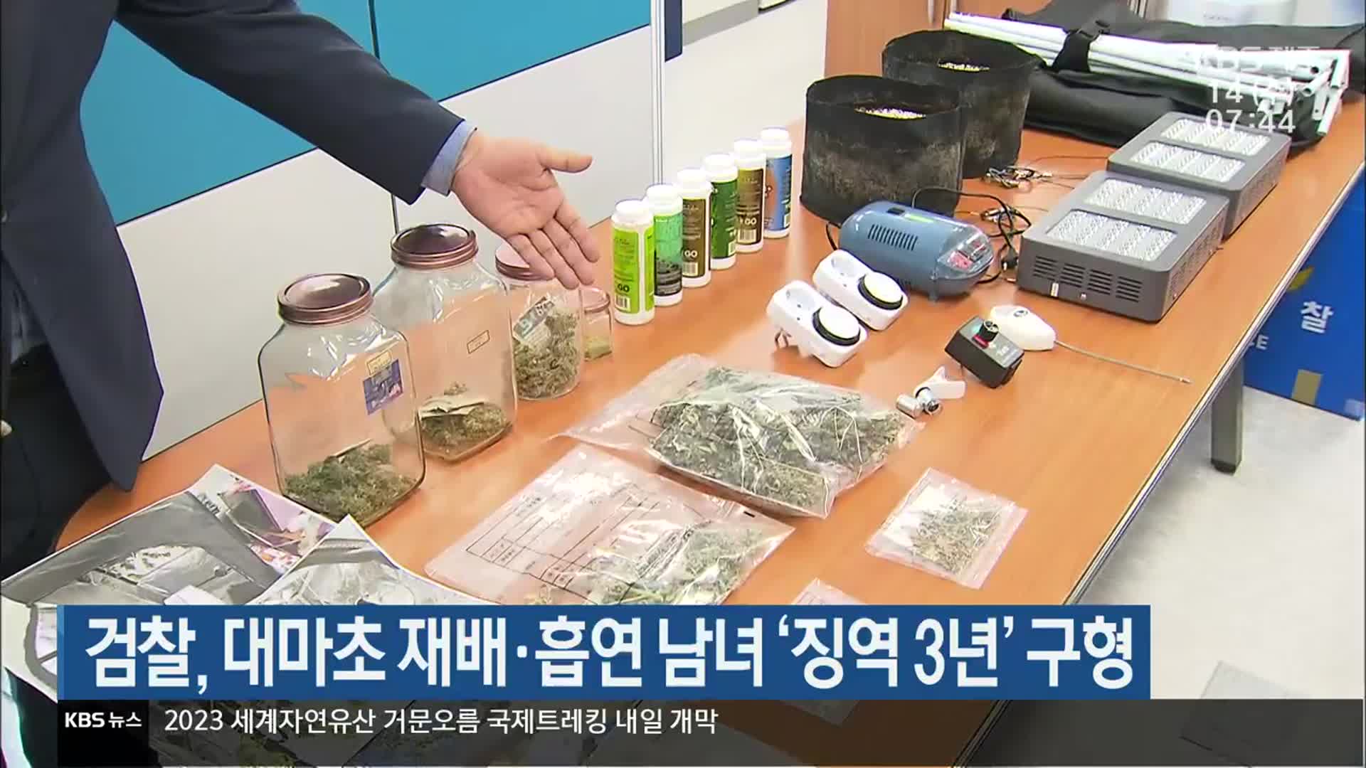 검찰, 대마초 재배·흡연 남녀 ‘징역 3년’ 구형
