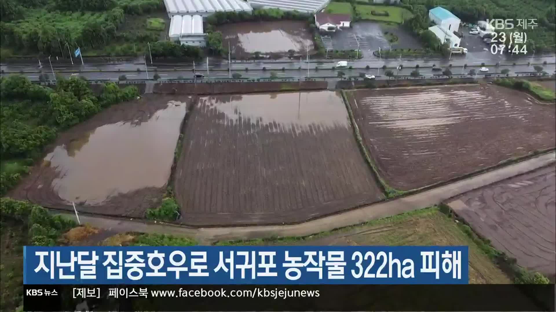 지난달 집중호우로 서귀포 농작물 322ha 피해