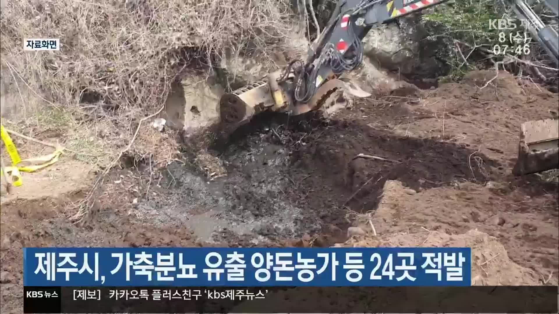 제주시, 가축분뇨 유출 양돈농가 등 24곳 적발