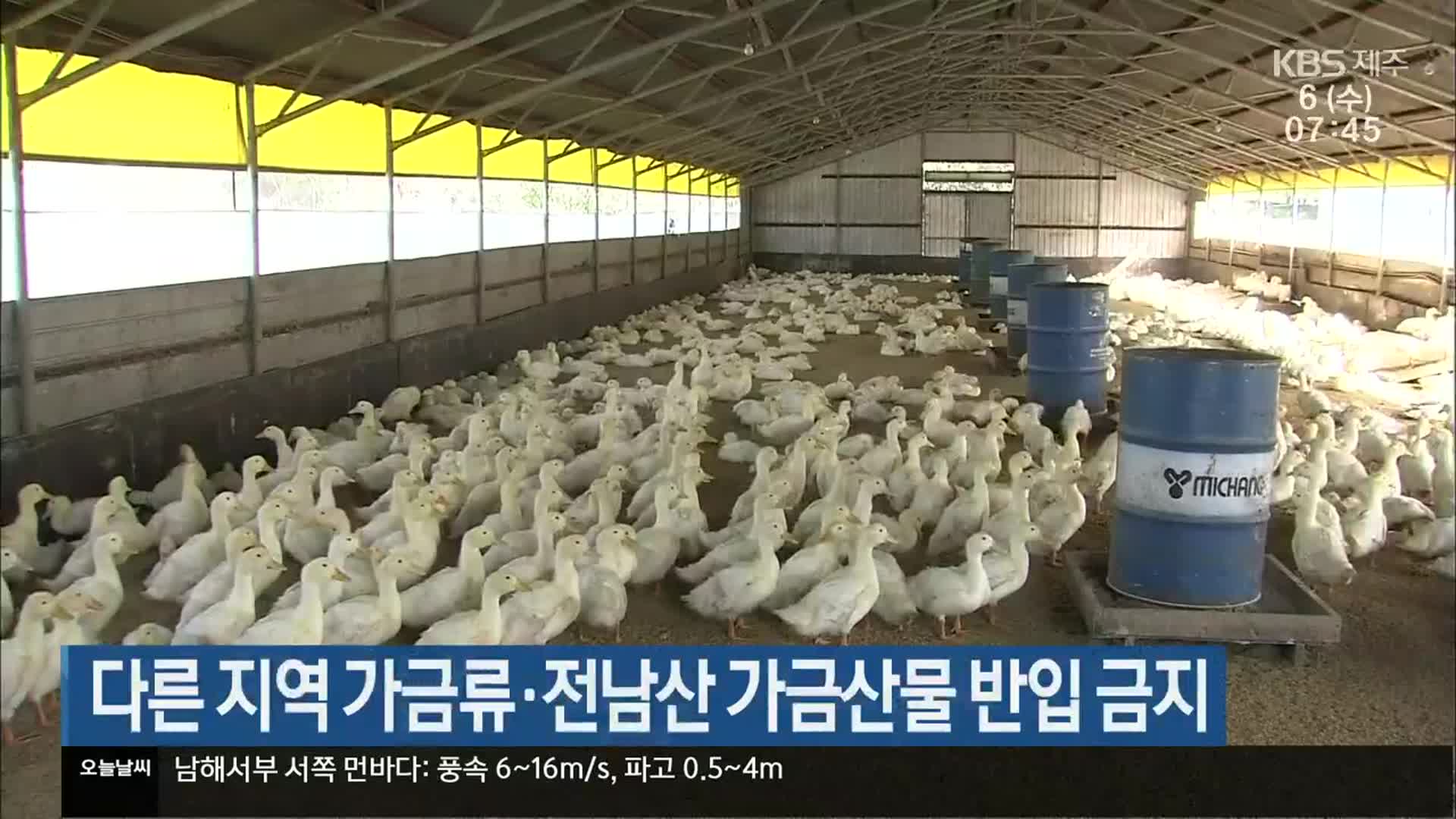 다른 지역 가금류·전남산 가금산물 반입 금지