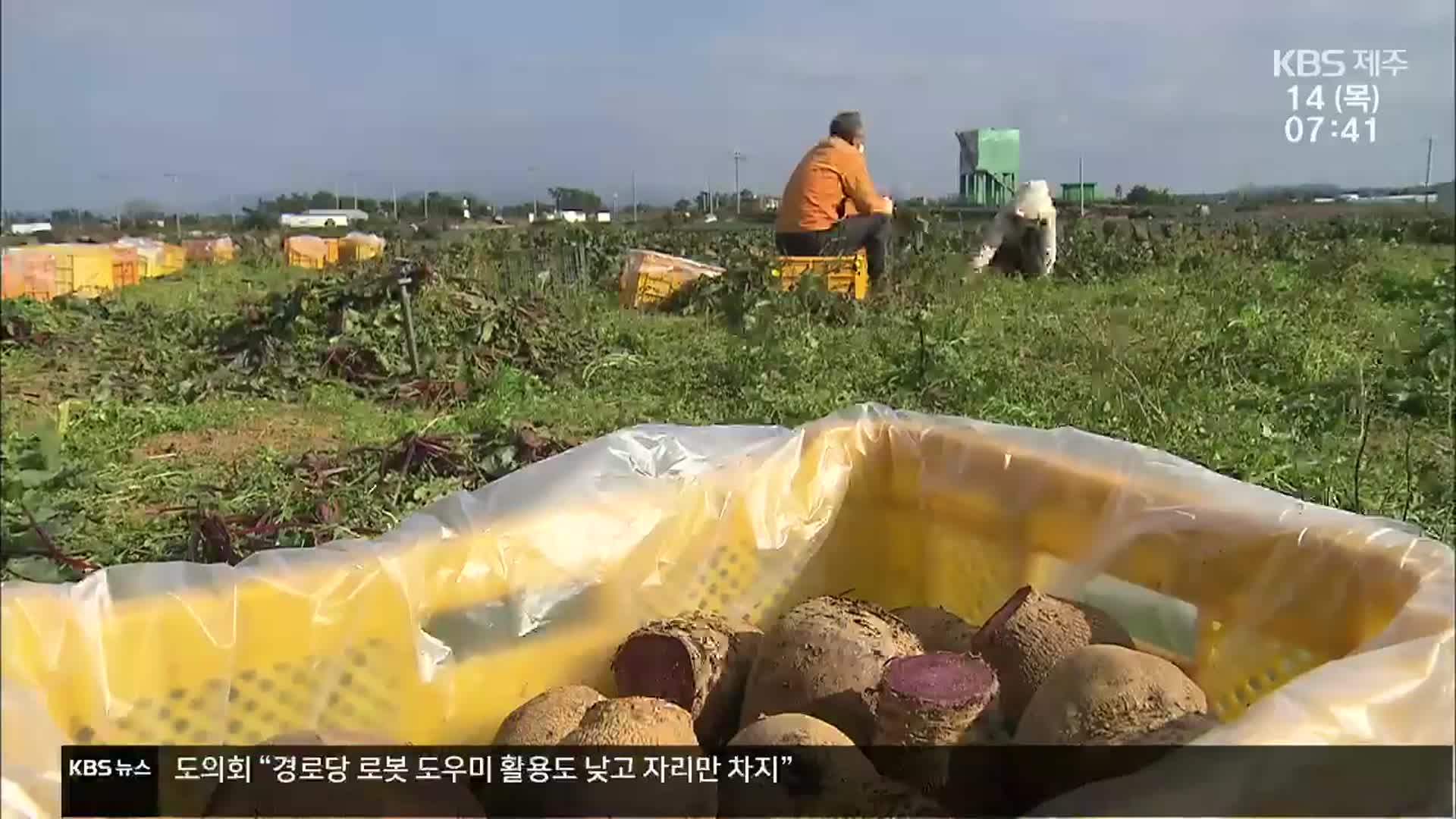 “농산물 대금 못 받아” 호소…일부 농가선 소송