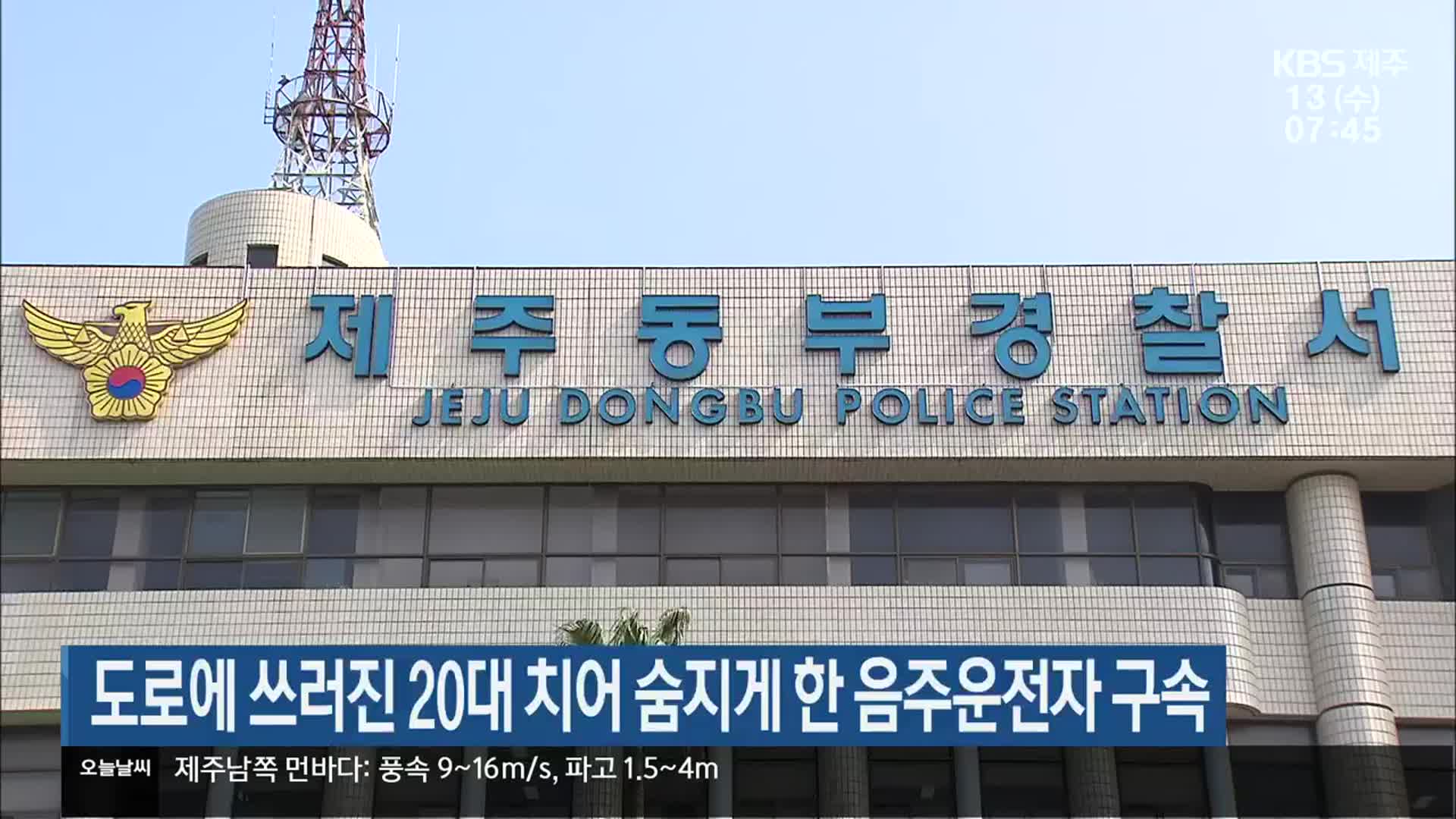 도로에 쓰러진 20대 치어 숨지게 한 음주운전자 구속