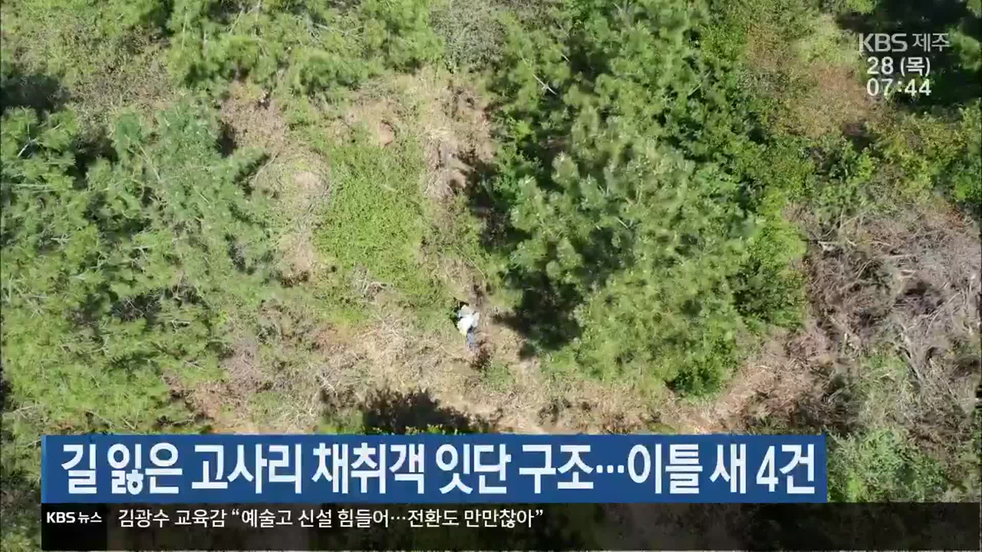 길 잃은 고사리 채취객 구조 잇달아…“이틀 새 4건”