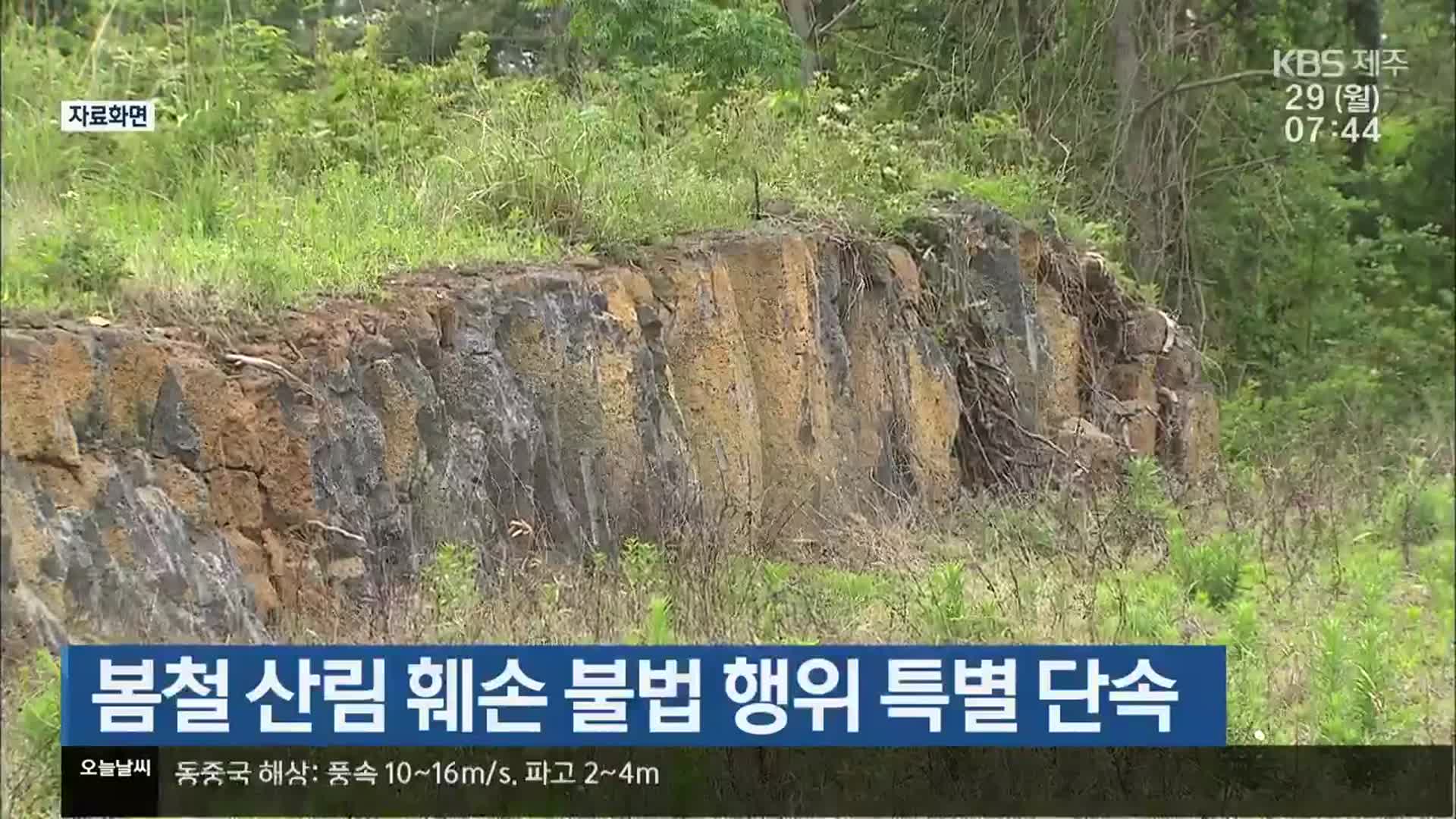 봄철 산림 훼손 불법 행위 특별 단속