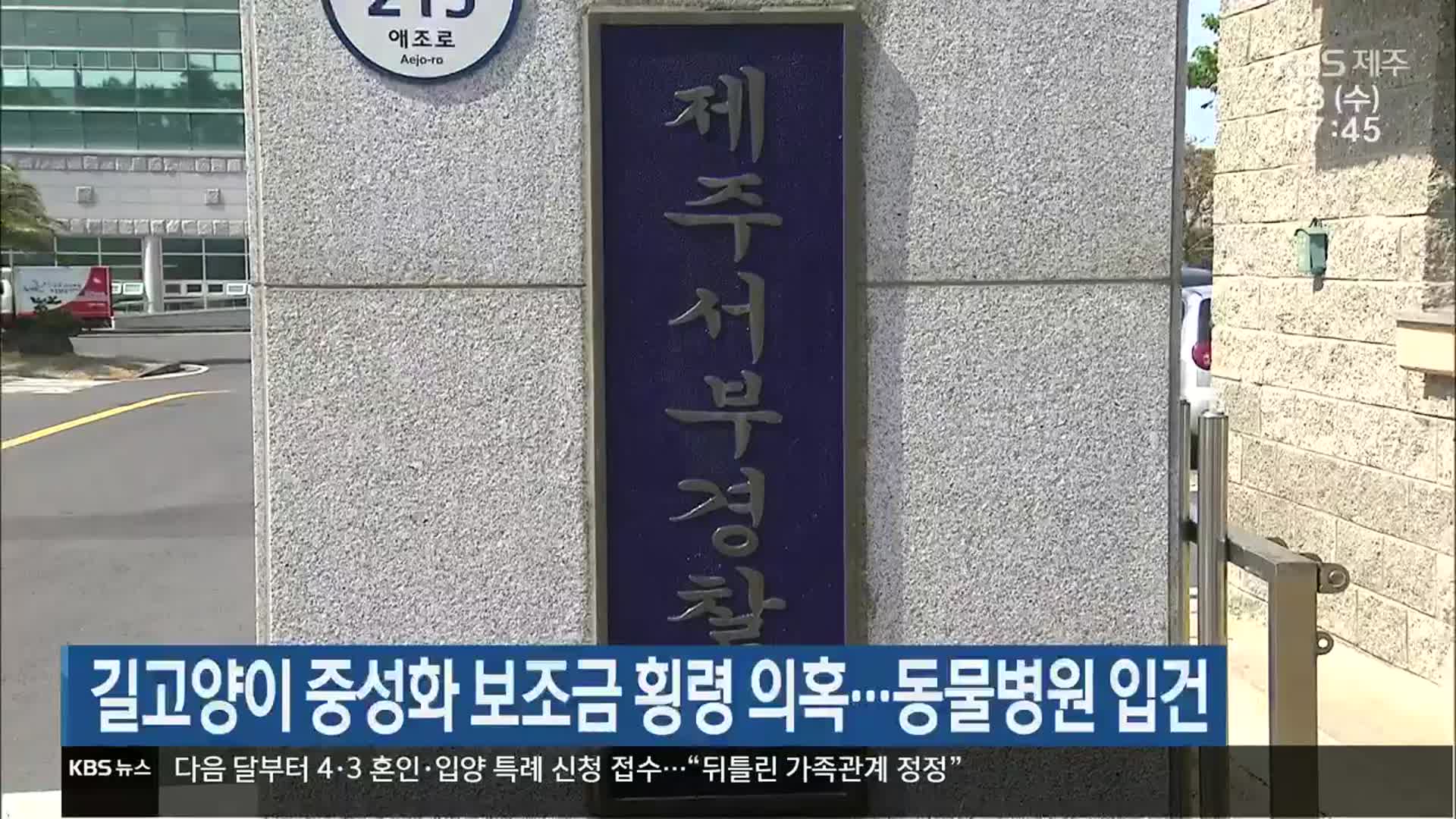 길고양이 중성화 보조금 횡령 의혹…동물병원 입건