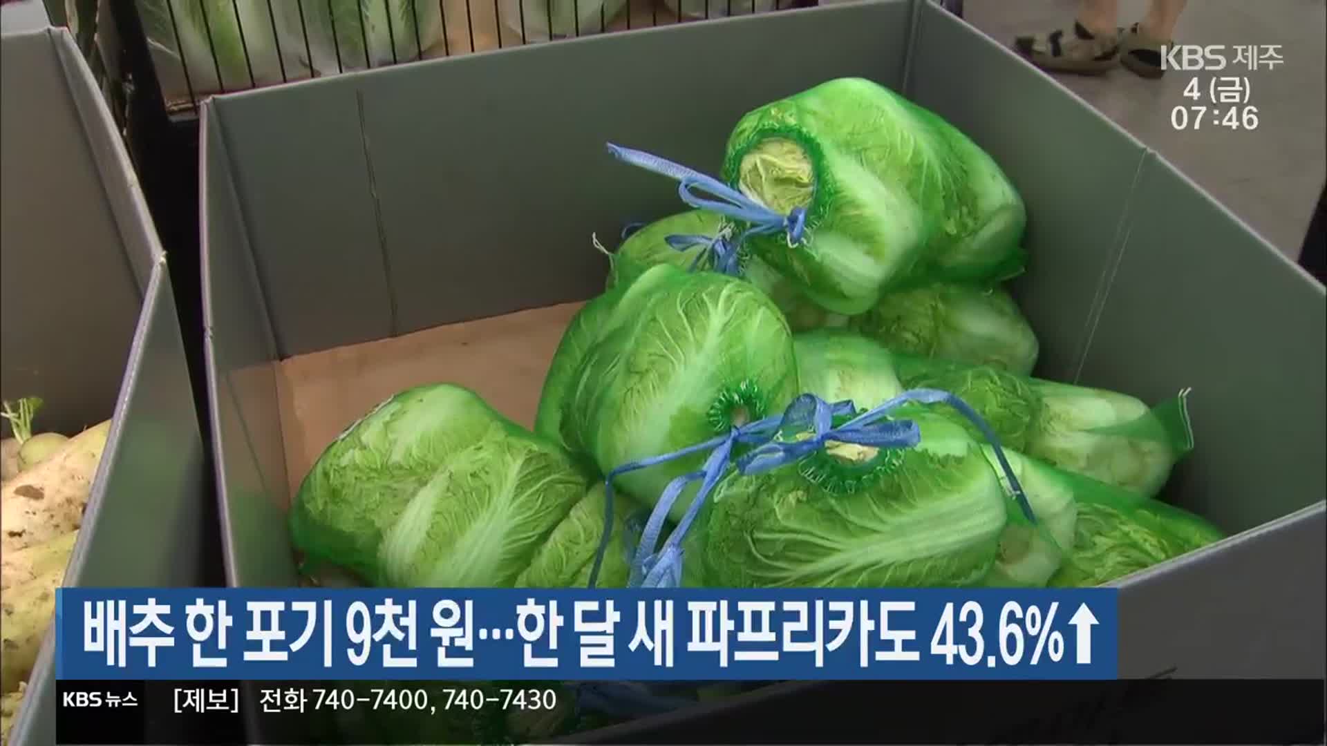 배추 한 포기 9천 원…한 달 새 파프리카도 43.6%↑