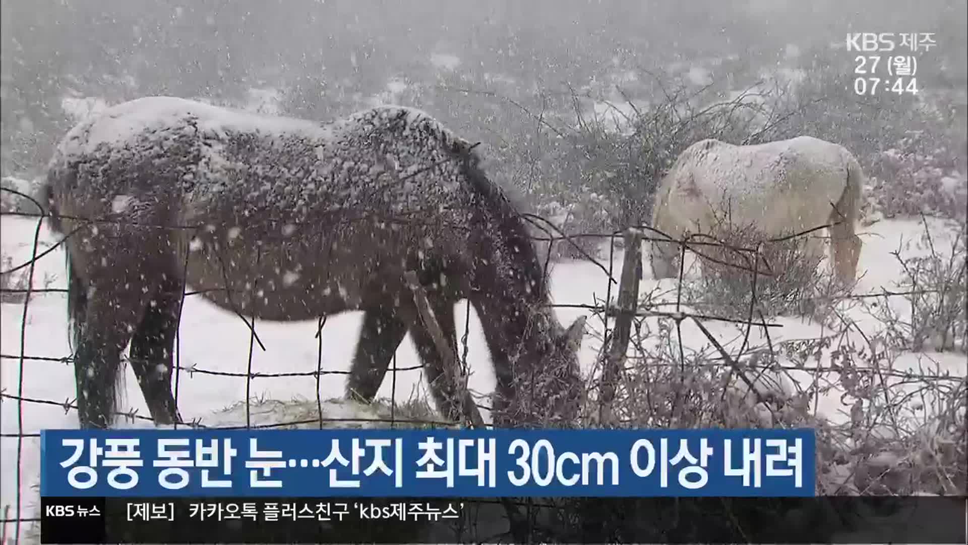 제주 강풍 동반 눈…산지 최대 30cm 이상 내려