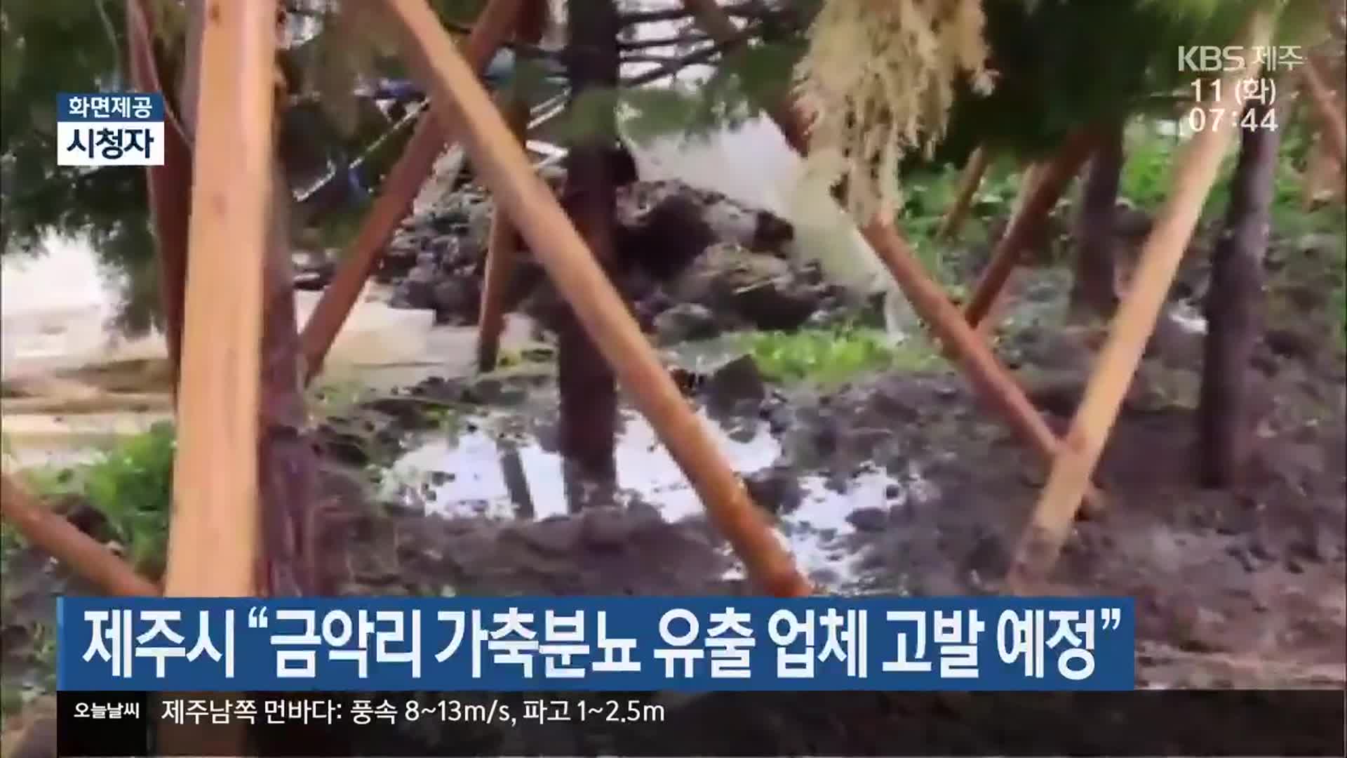 제주시 “금악리 가축분뇨 유출 업체 고발 예정”