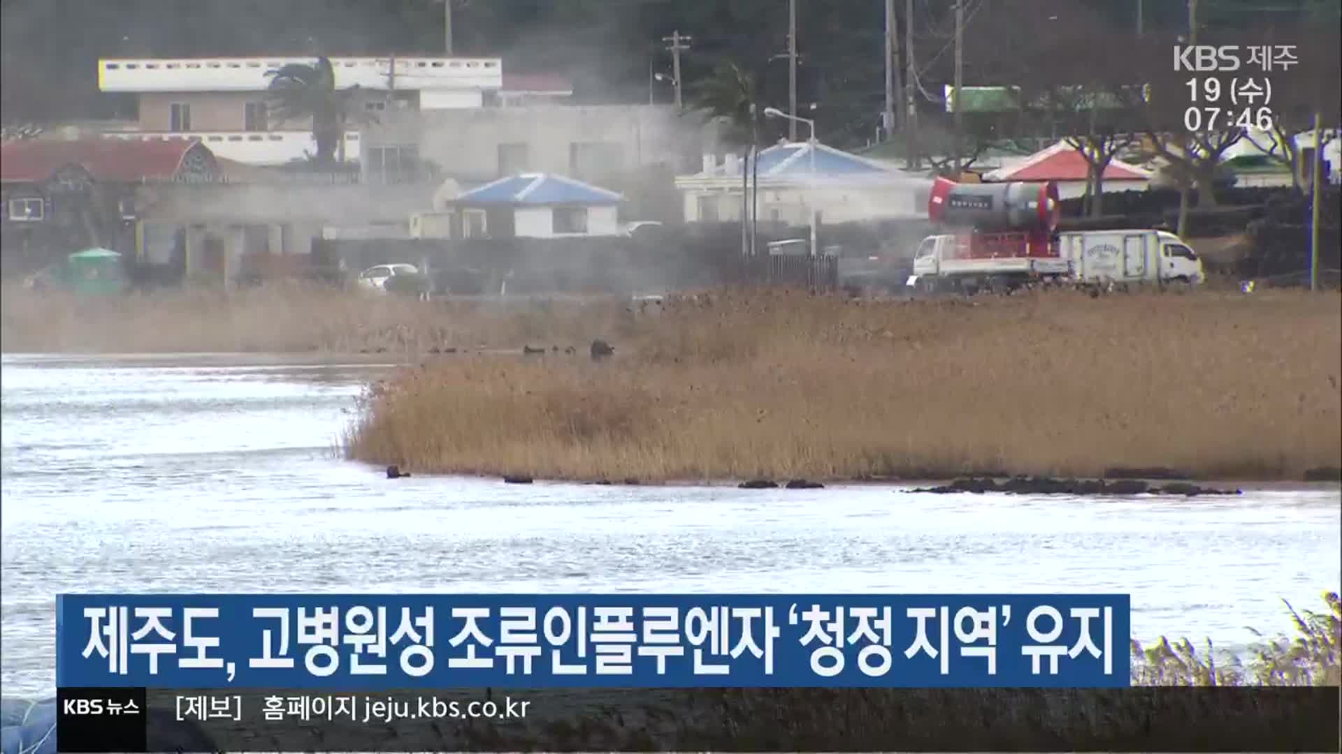 제주도, 고병원성 조류인플루엔자 ‘청정 지역’ 유지