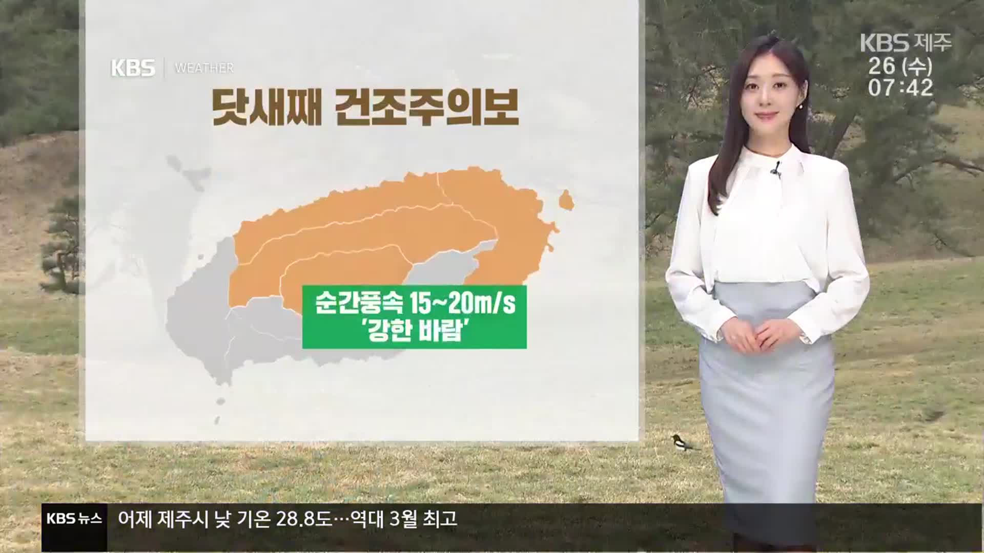[날씨] 제주 닷새째 건조주의보, 바람도 강해…늦은 오후부터 ‘비’