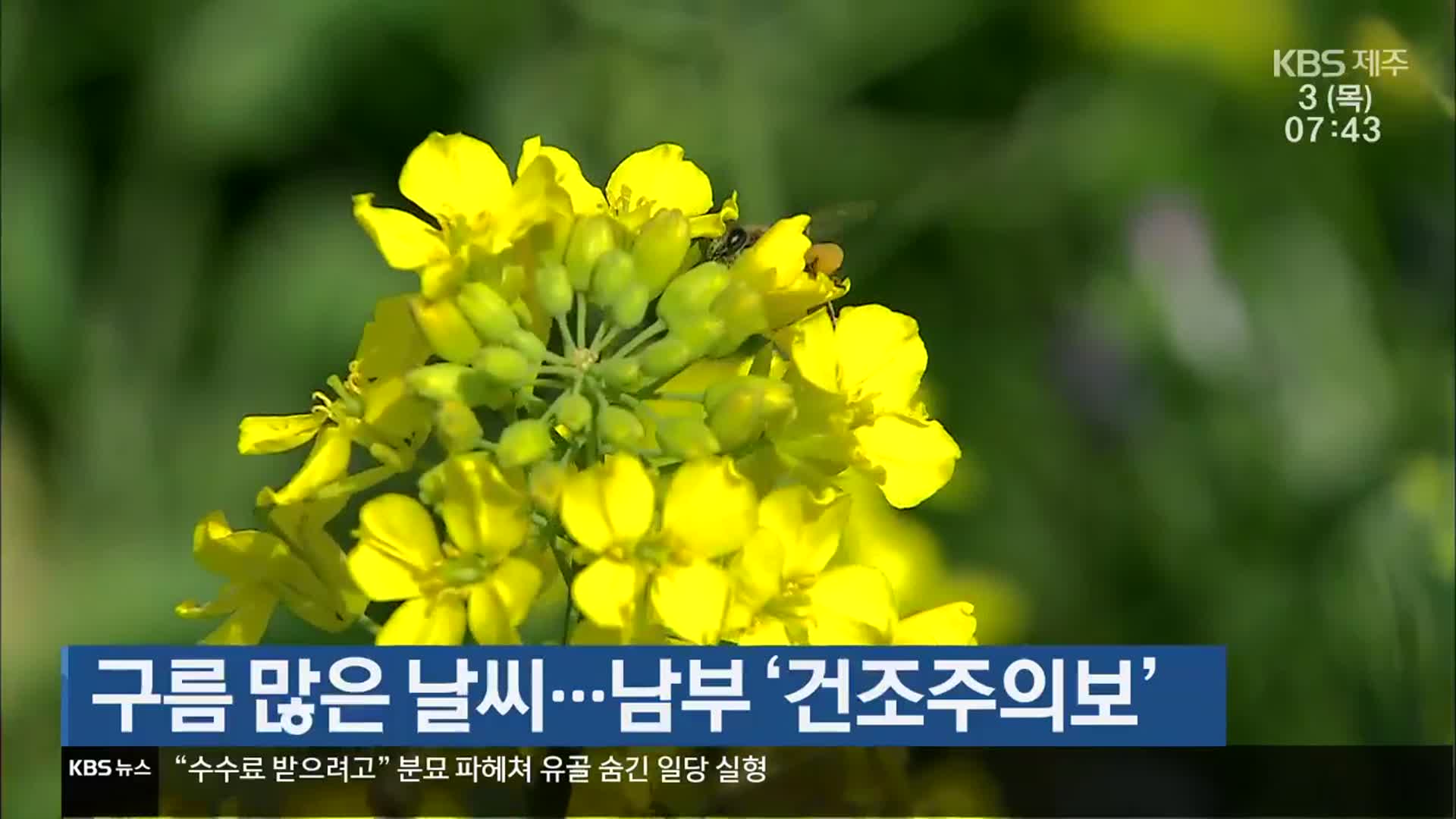 제주 구름 많은 날씨…남부 ‘건조주의보’