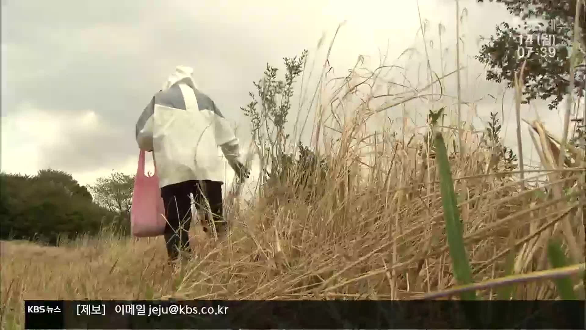 ‘고사리 길 잃음’ 주말 새 10여 건…“일행과 함께, 휴대전화 꼭”