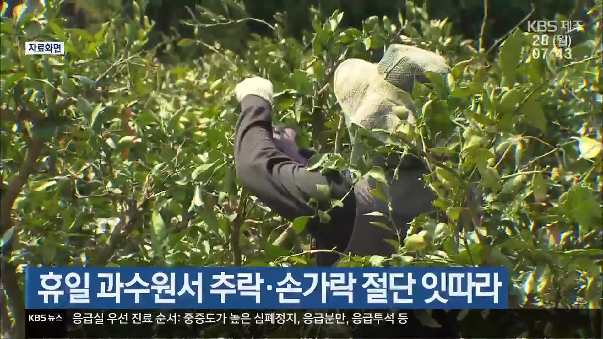휴일 과수원서 추락·손가락 절단 잇따라