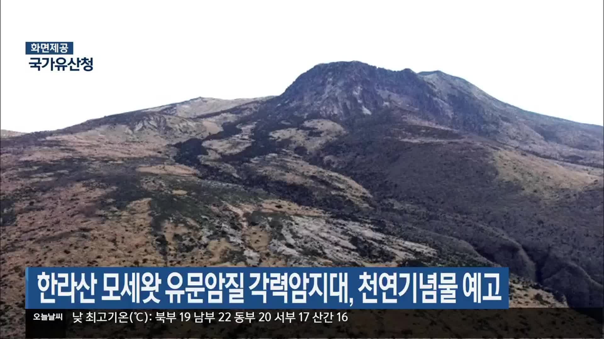 한라산 모세왓 유문암질 각력암지대, 천연기념물 예고