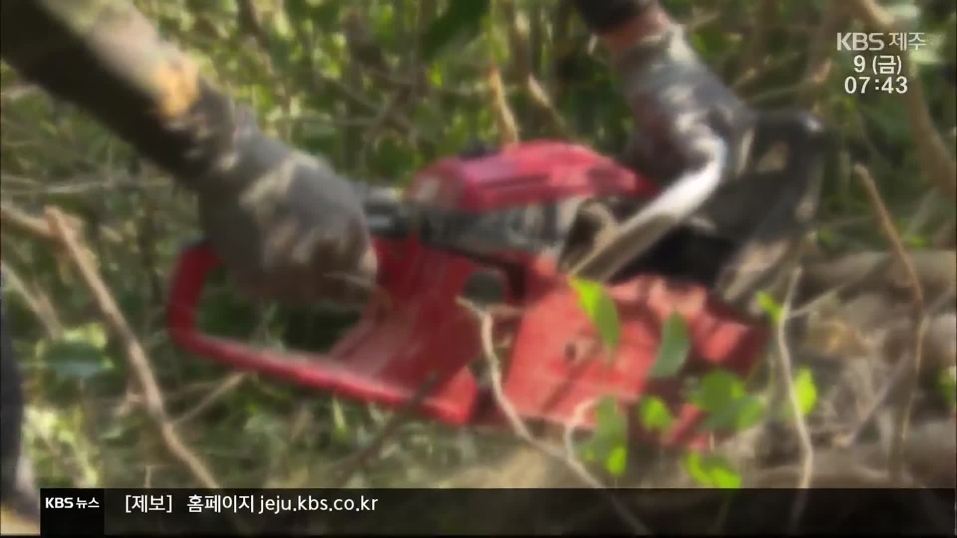 [탐사K] 판사의 경고 “돈 욕심에 제주다움 사라져”