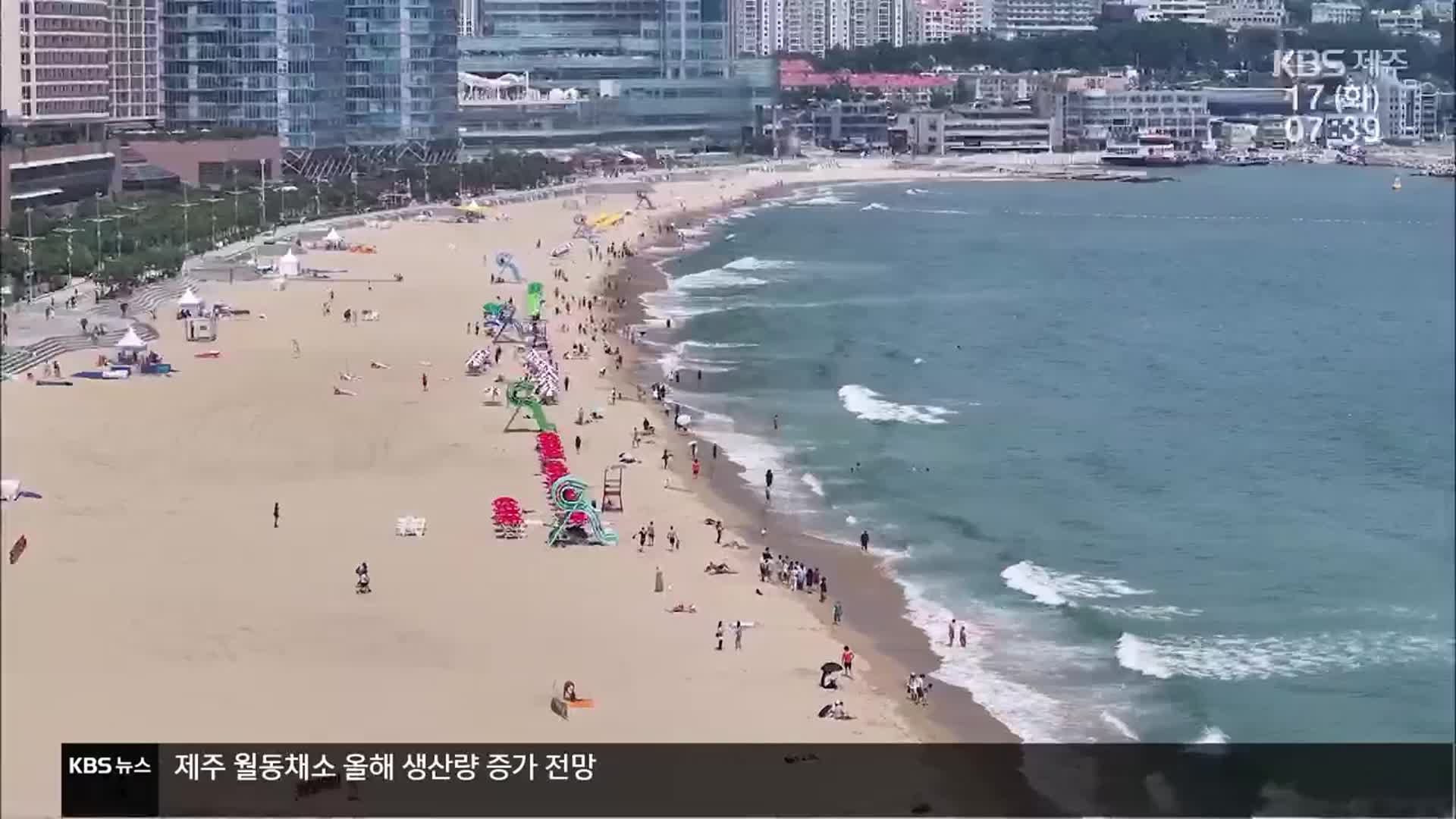 [뉴스광장 제주 풀영상]