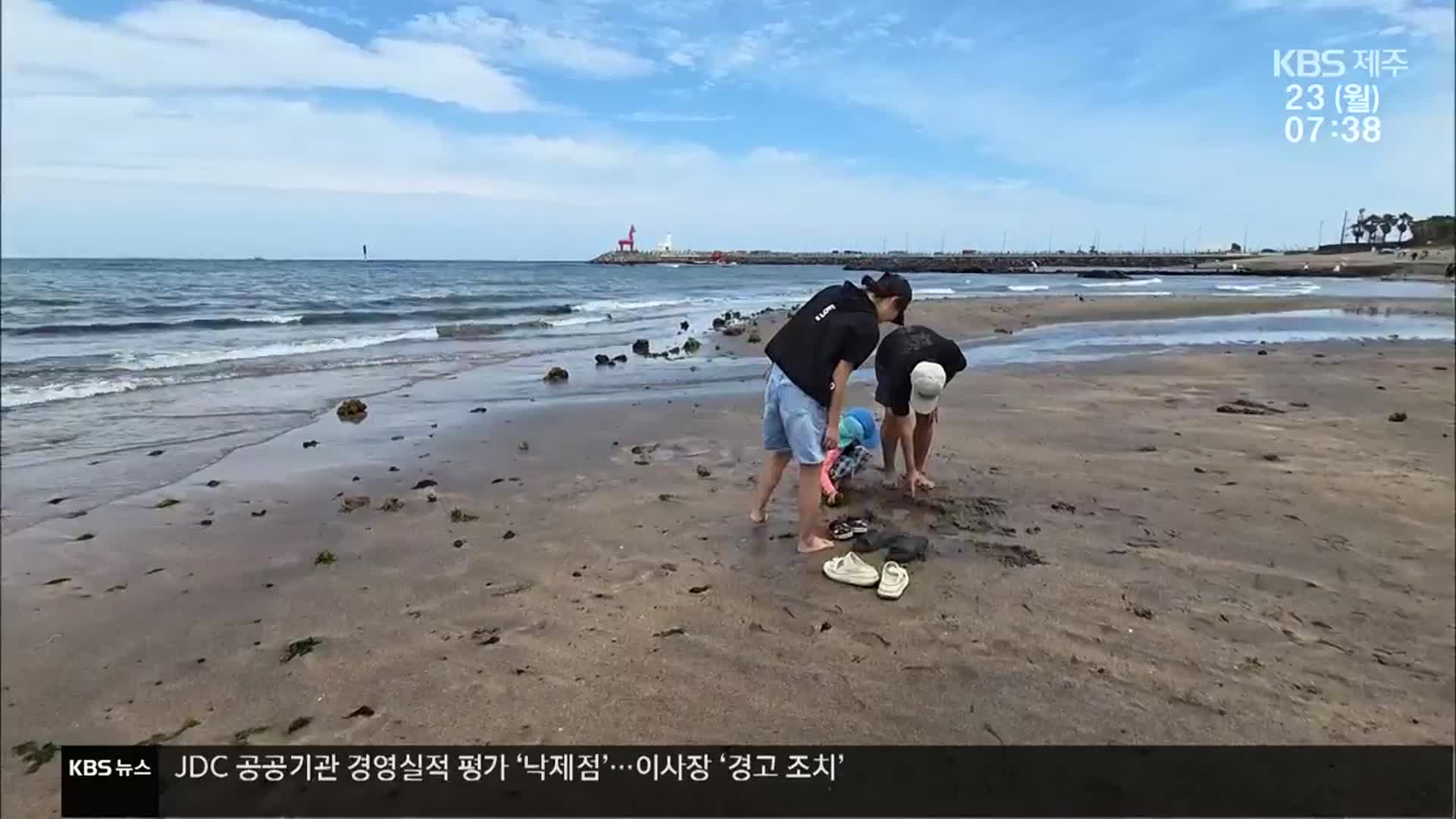 [뉴스광장 제주 풀영상]