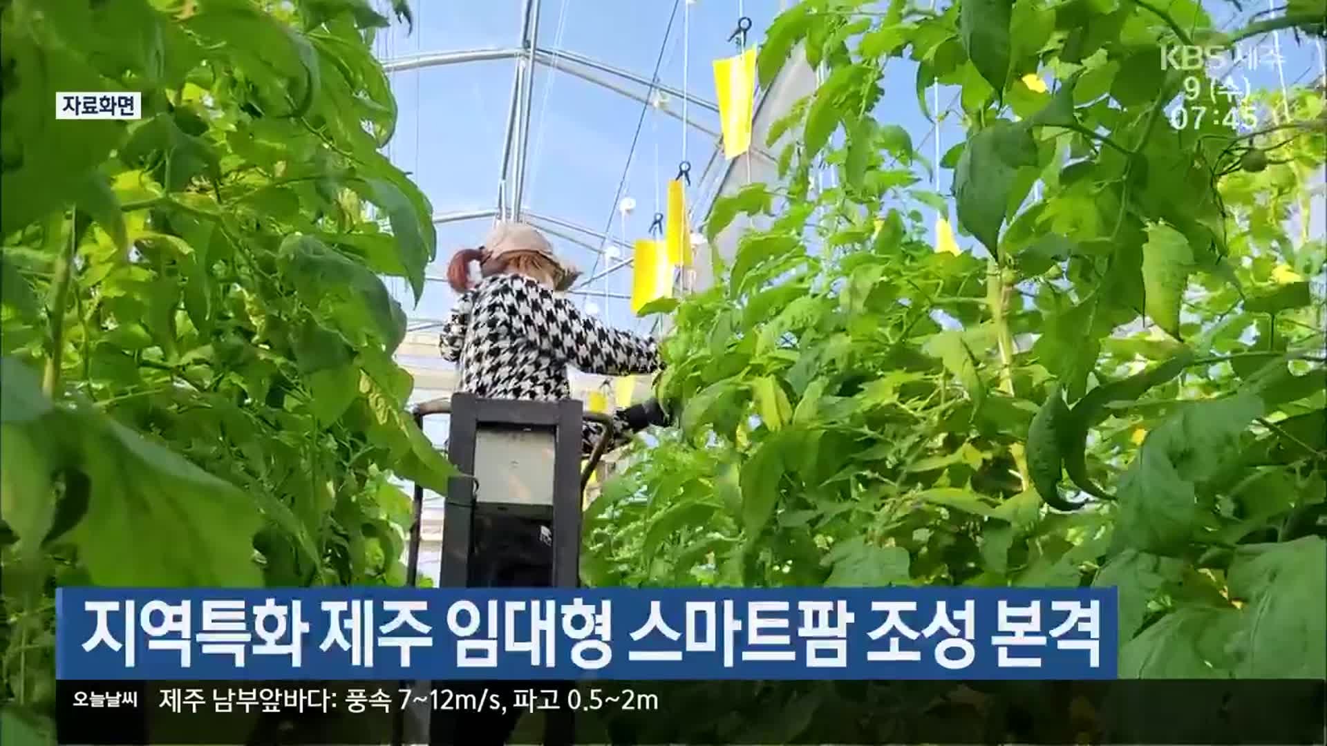 지역특화 제주 임대형 스마트팜 조성 본격