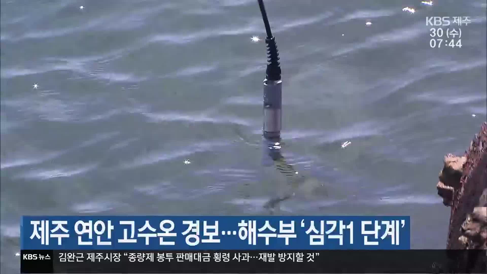 제주 연안 고수온 경보…해수부 ‘심각 1단계’
