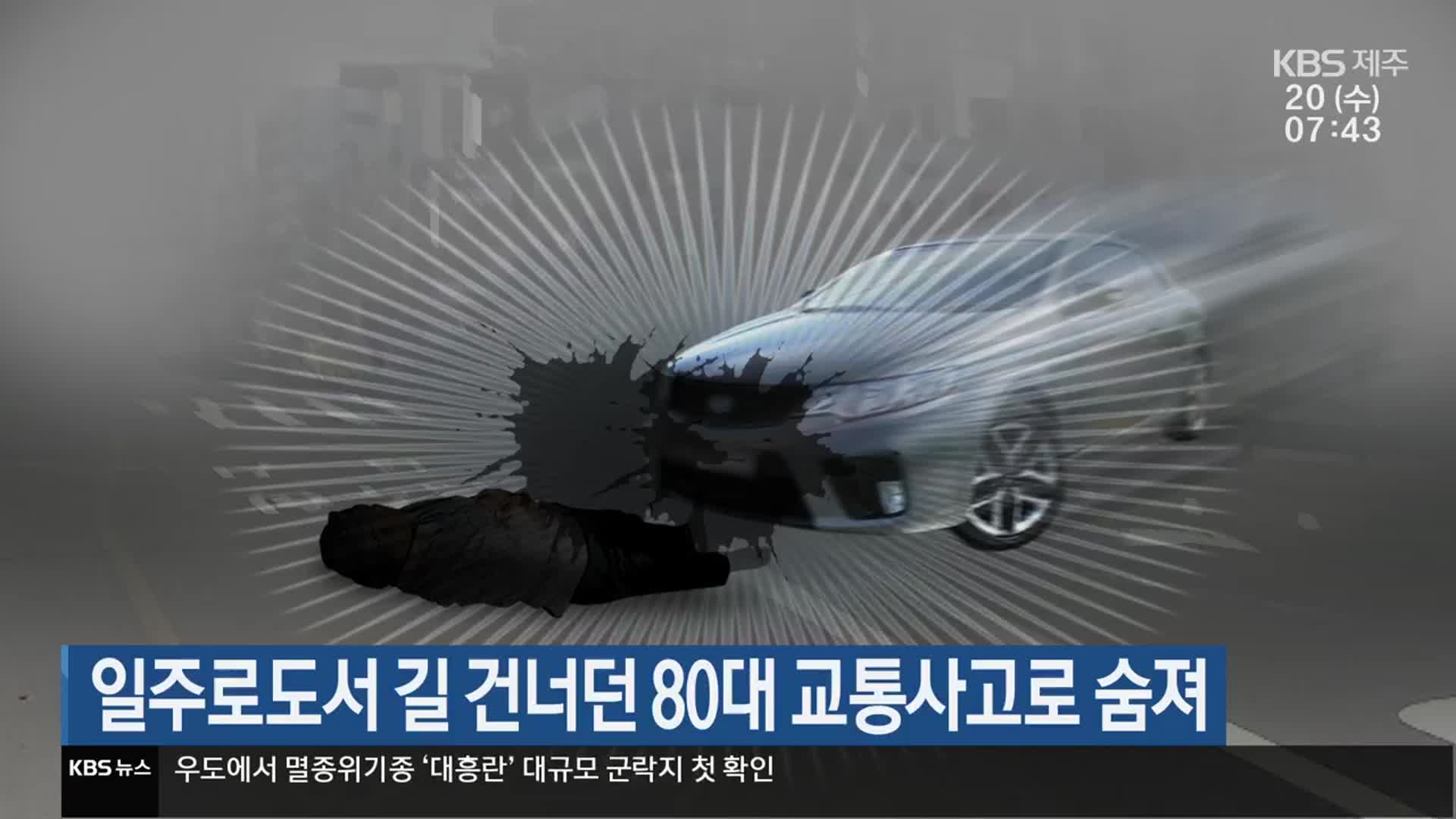 일주도로서 길 건너던 80대 교통사고로 숨져