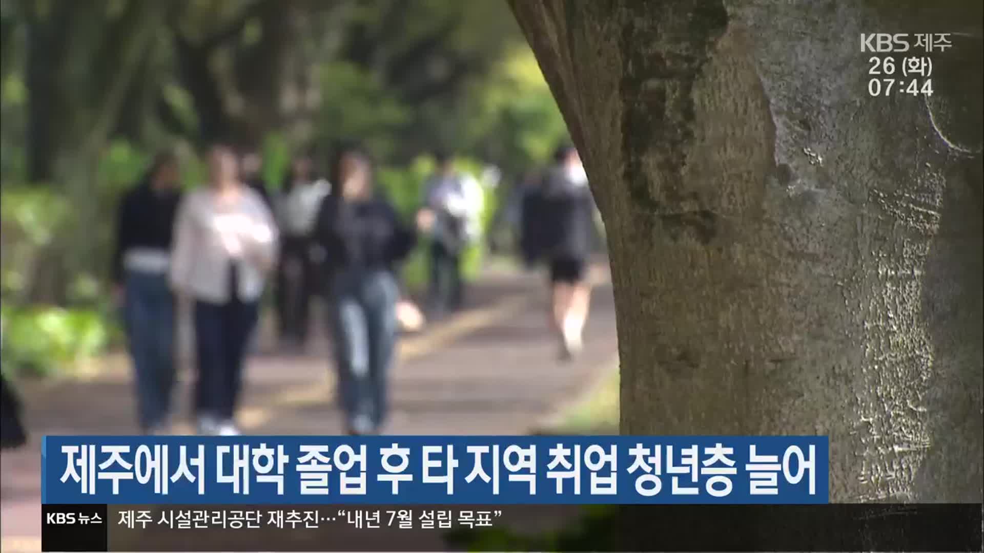 제주 대학 졸업 후 타 지역 취업 청년층 늘어