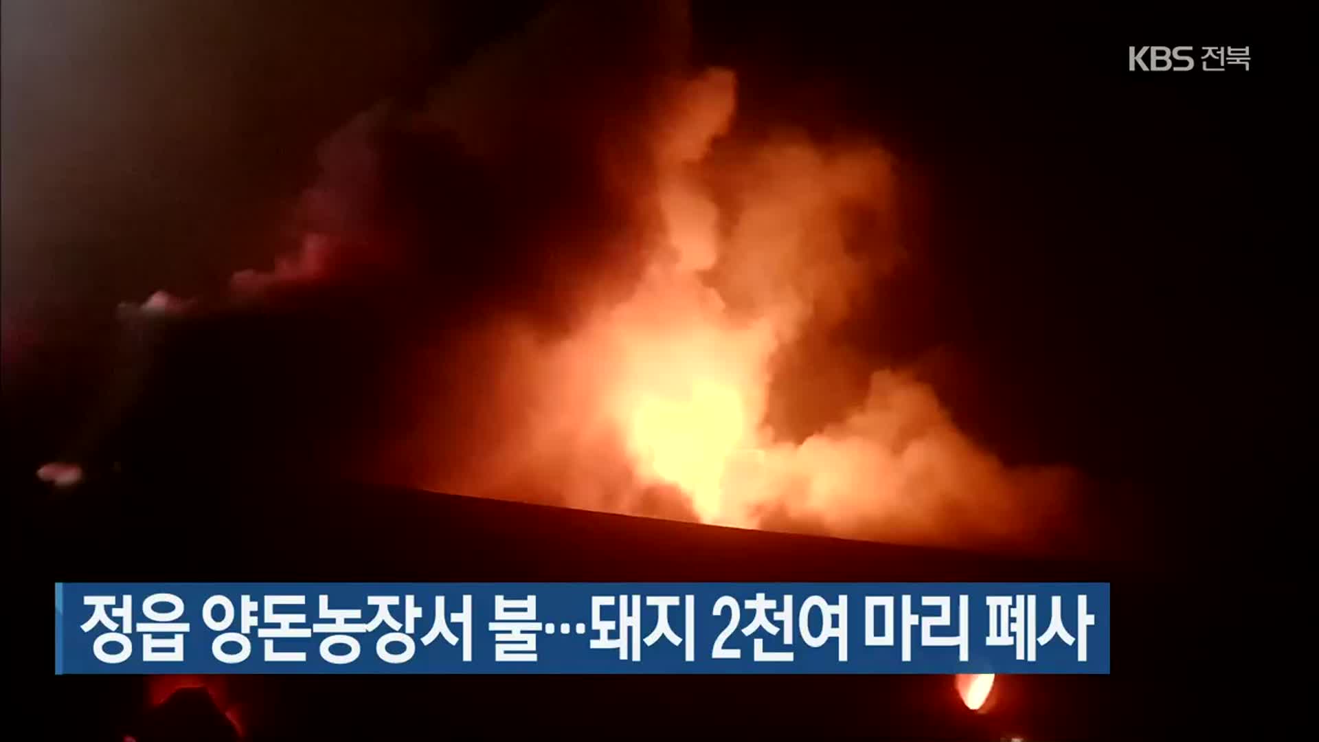 정읍 양돈농장서 불…돼지 2천여 마리 폐사