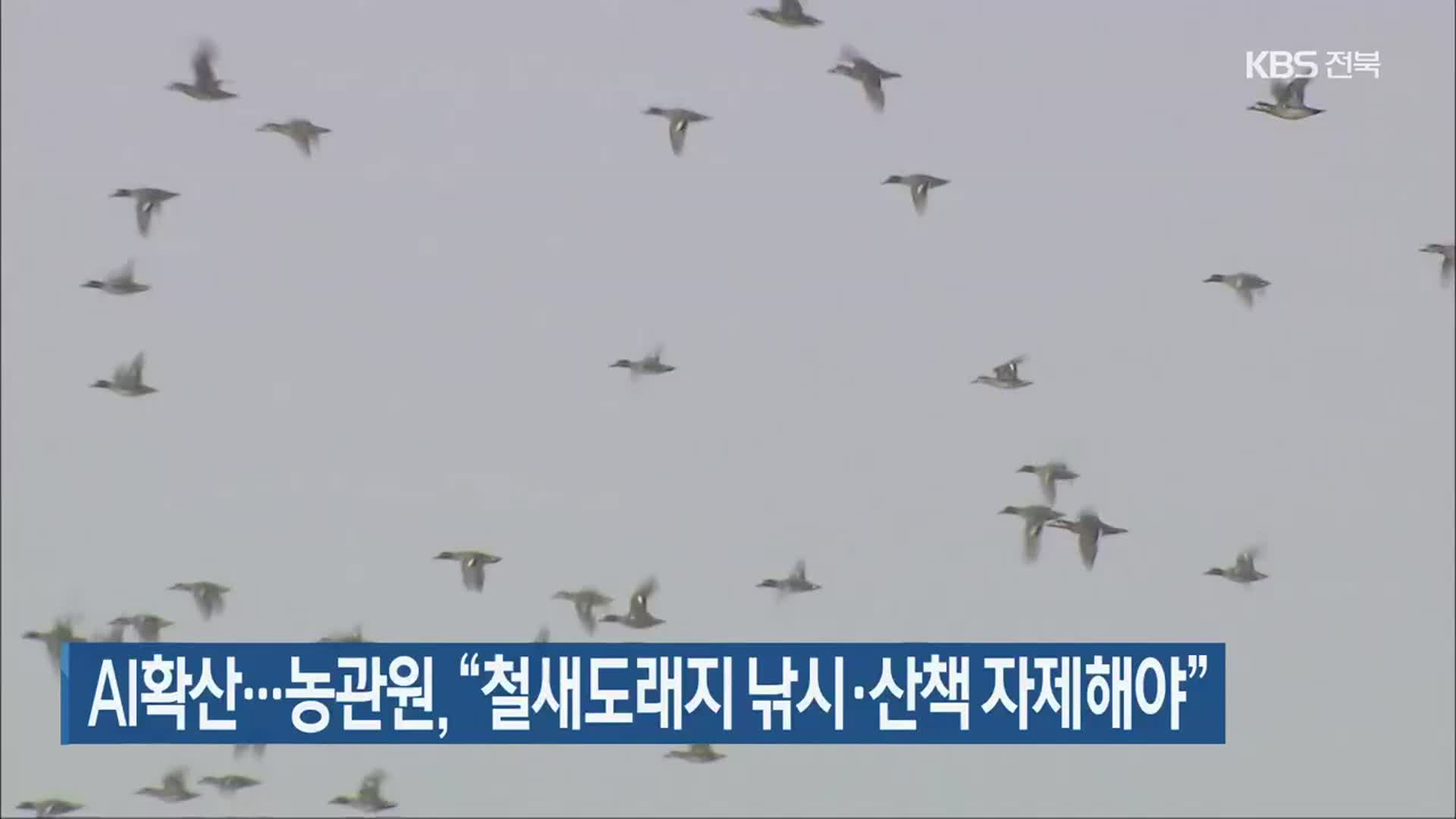 AI확산…농관원, “철새도래지 낚시·산책 자제해야”