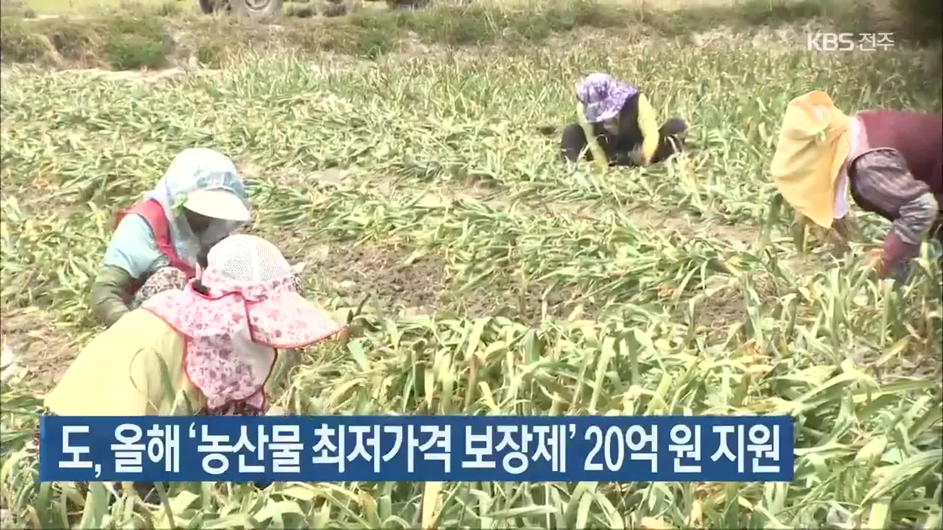 전라북도, 올해 ‘농산물 최저가격 보장제’ 20억 원 지원