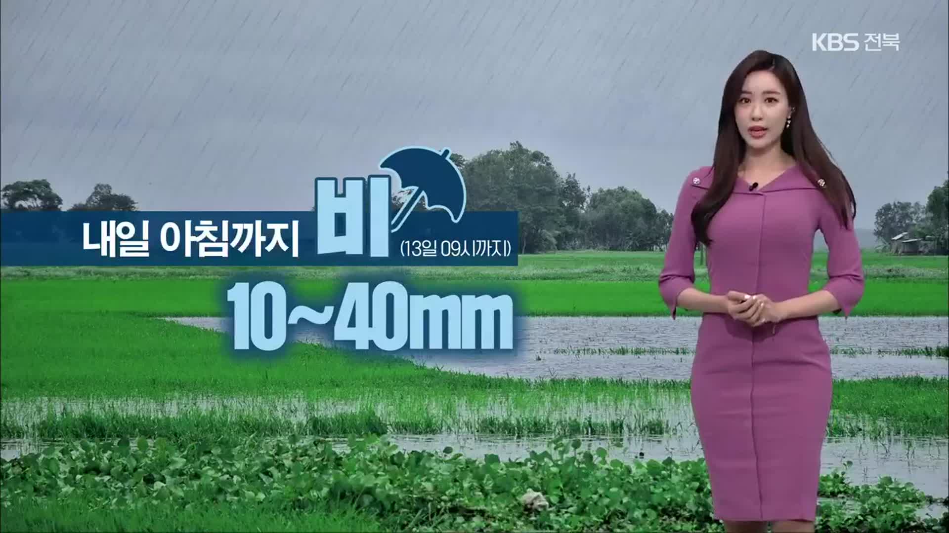 [날씨] 전북 내일 아침까지 최대 40mm 비…강한 바람 주의